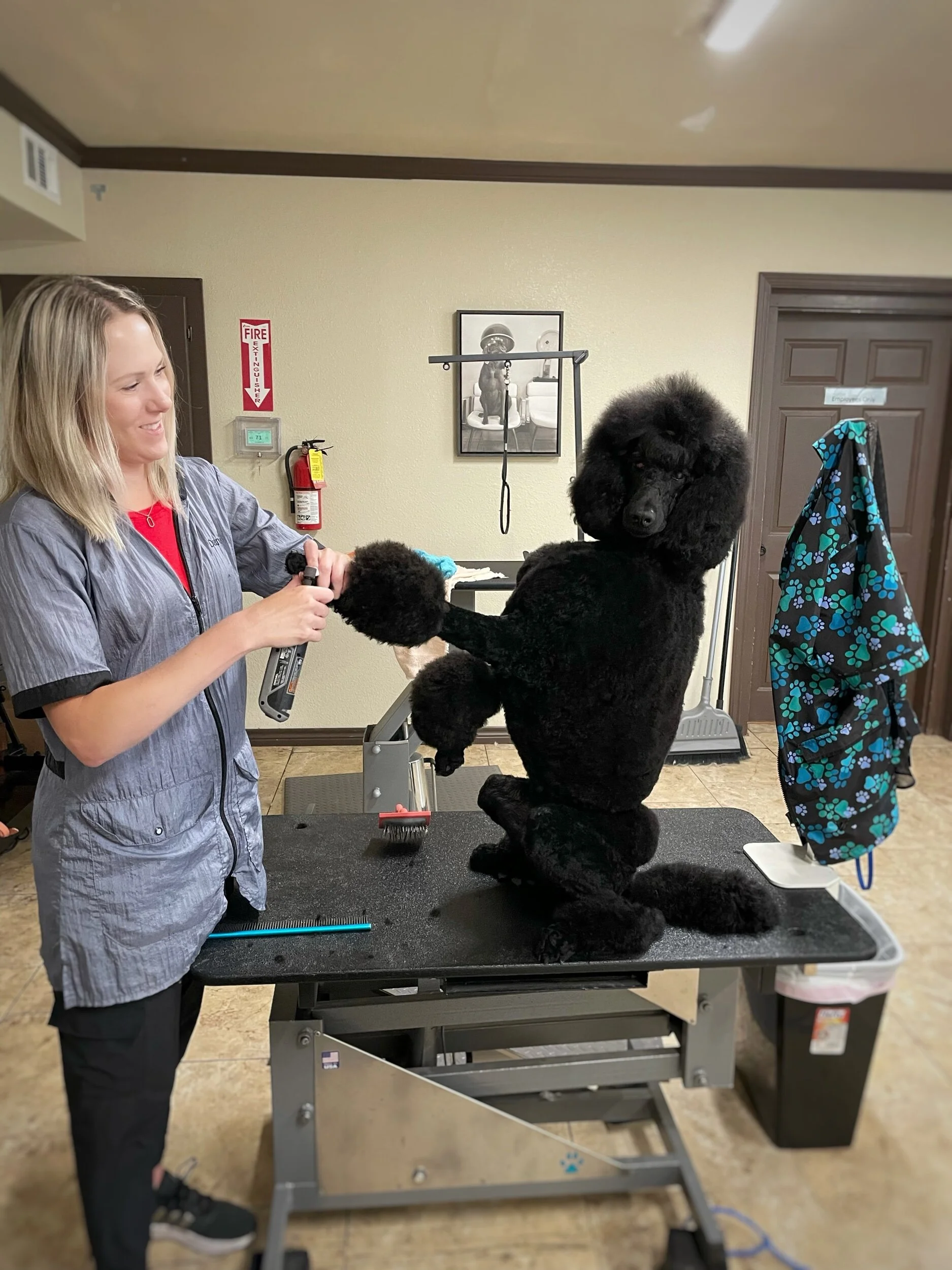 Danielle, Owner of Rebarkable Doggie Day Spa