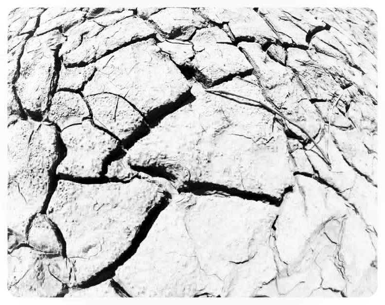 Zack Vayda and Real Deep Funk