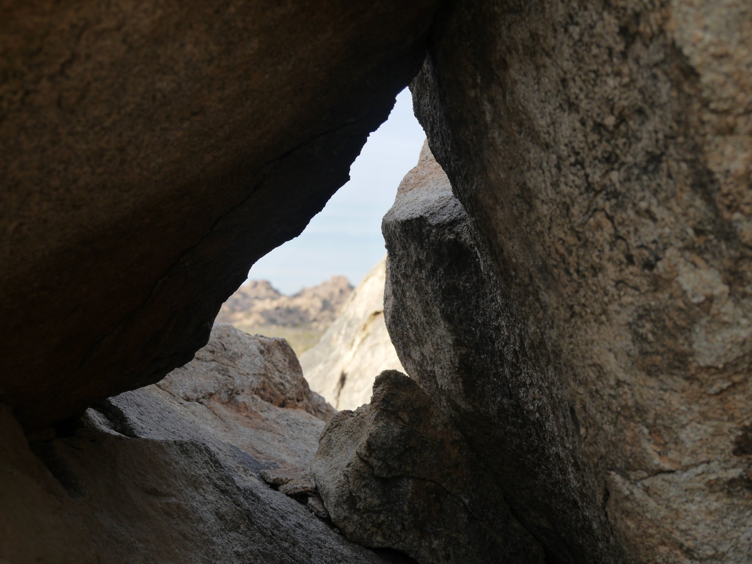 What is The Essence of Selfishness?