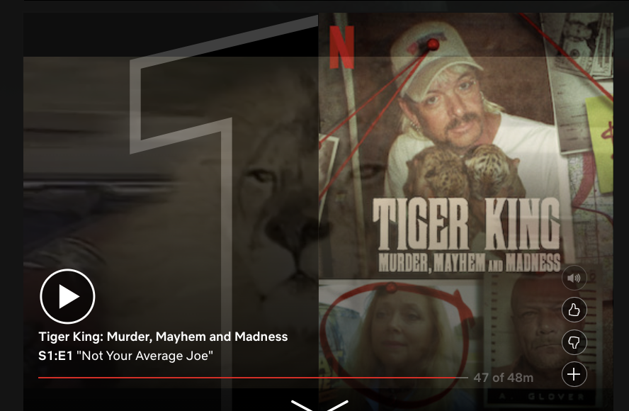 Tiger Kings and People Cages