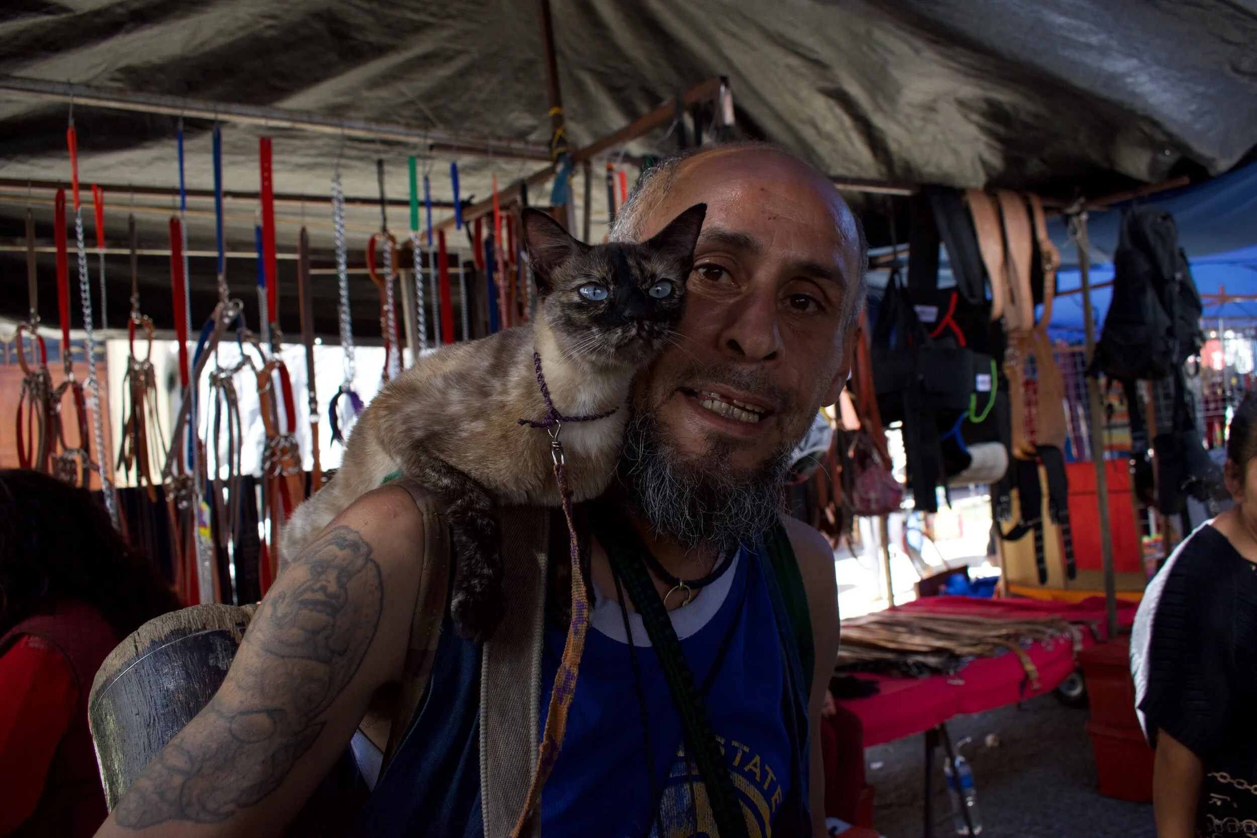 CAT ON SHOULDER