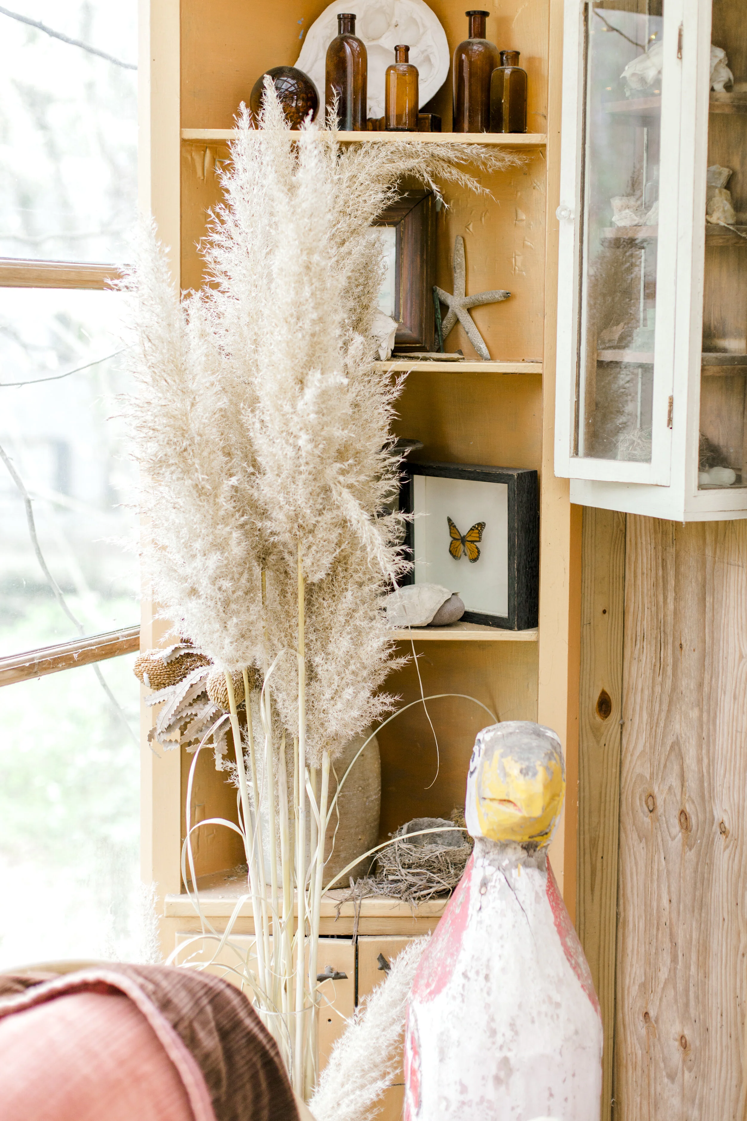 Jessica Sgubin Photography-1-6.jpg