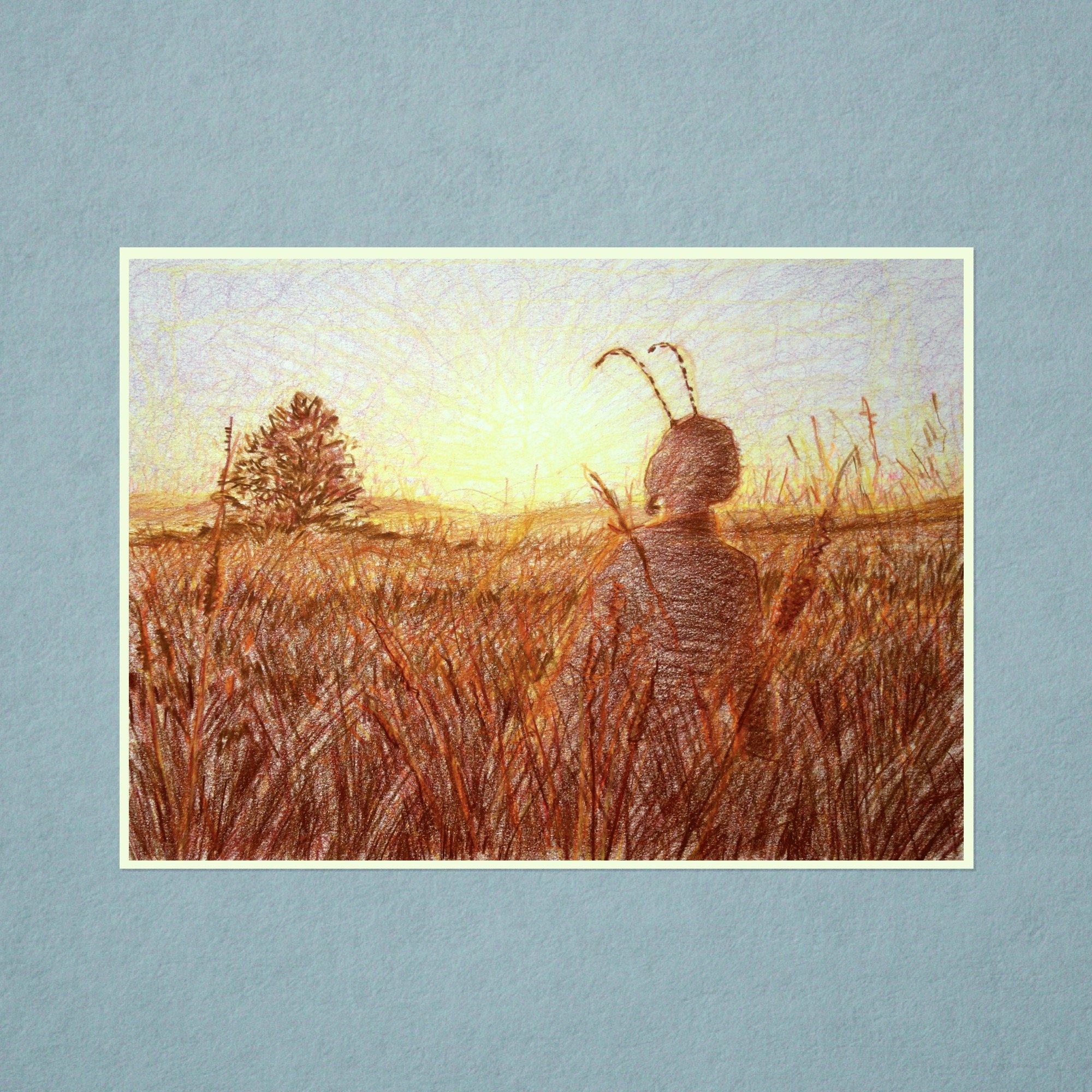 Resting Fields cover.jpeg