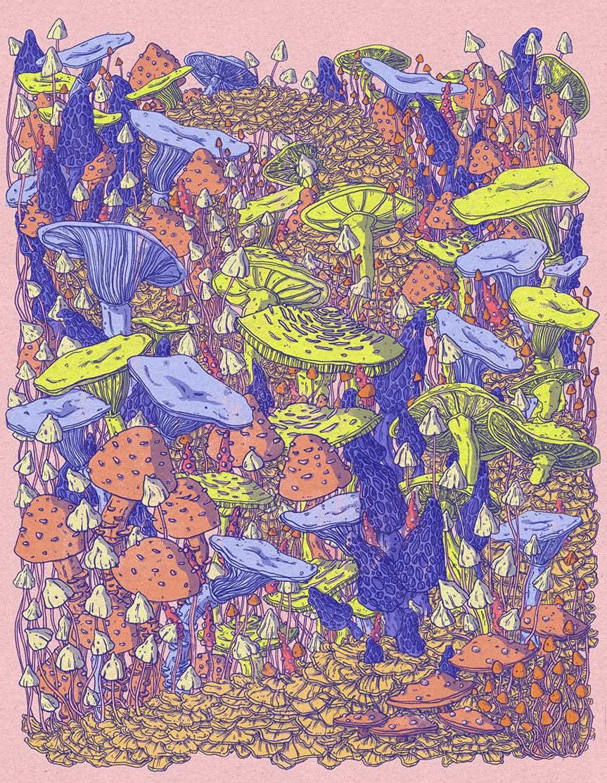 miotke_mushrooms_sample.jpg