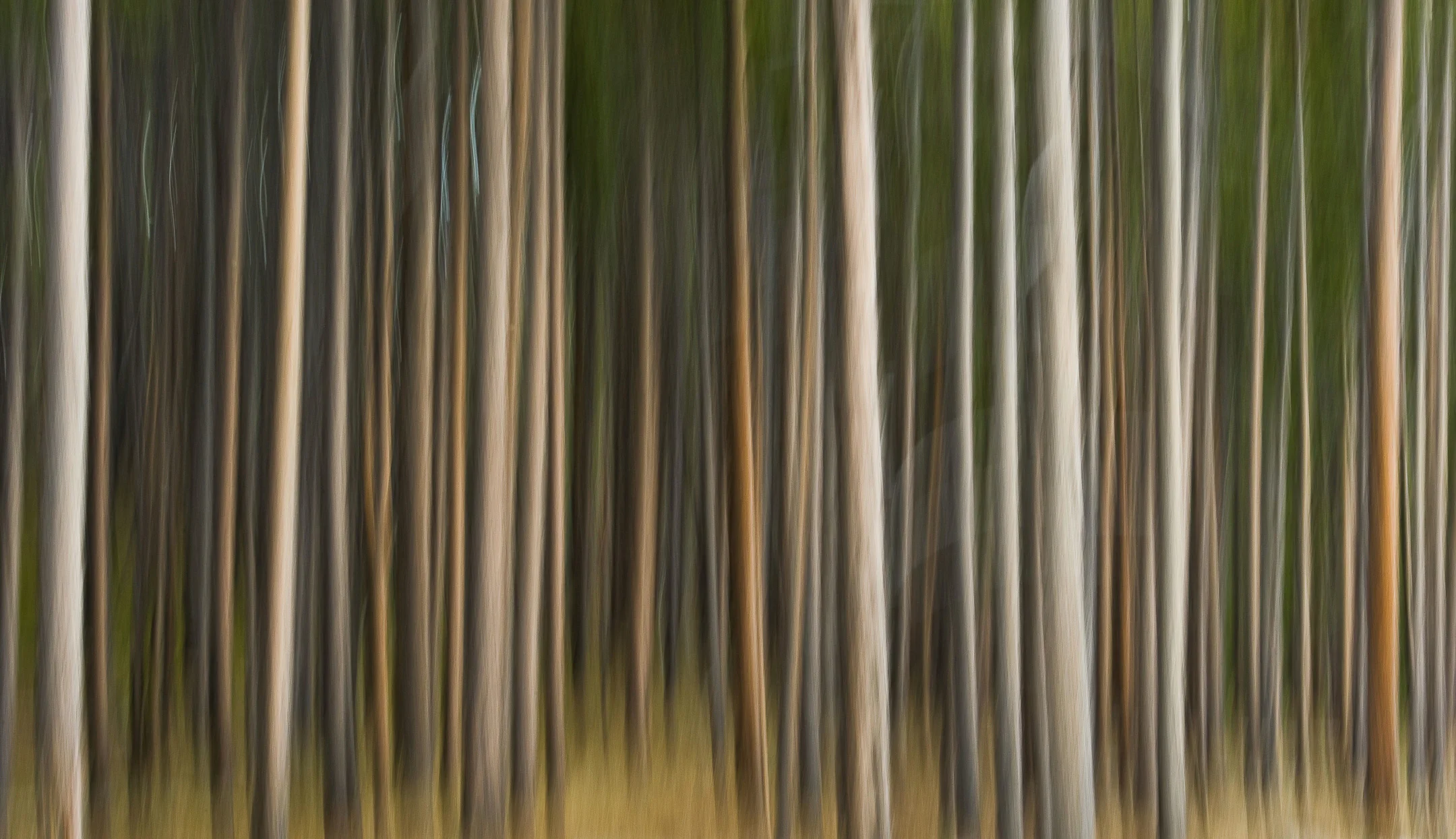 untitled-91-70.jpg