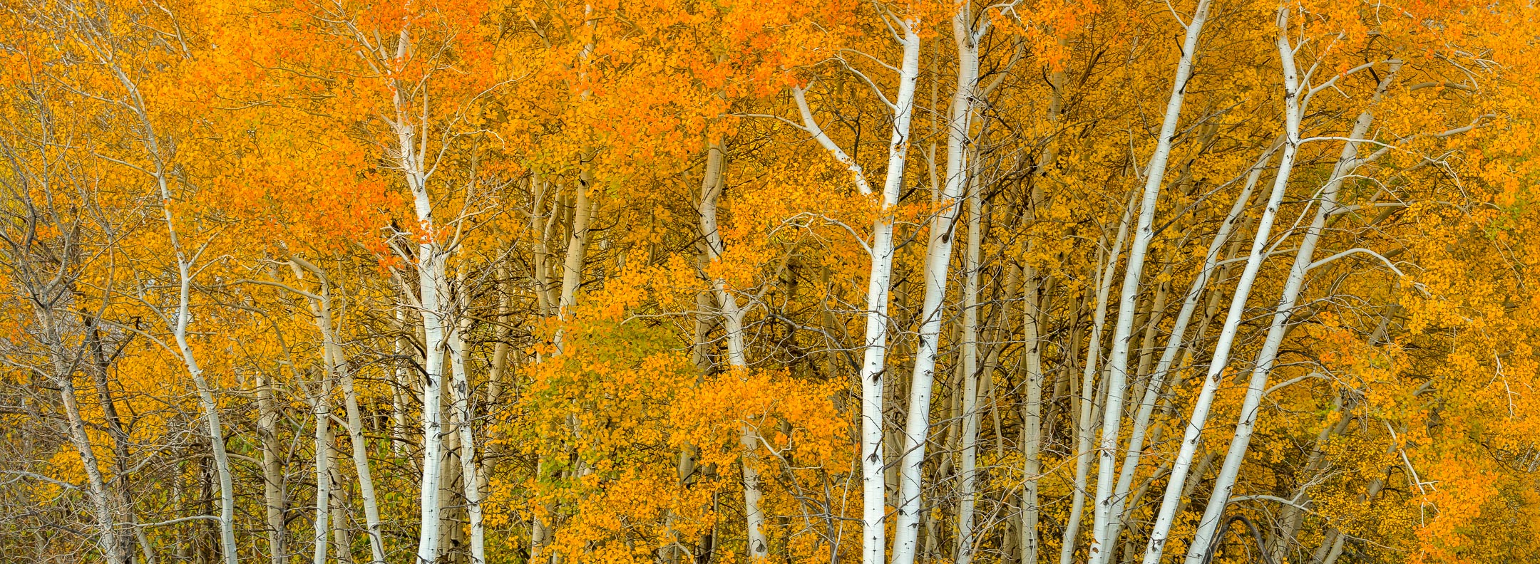 untitled-366-Edit-Edit-Edit-115.jpg