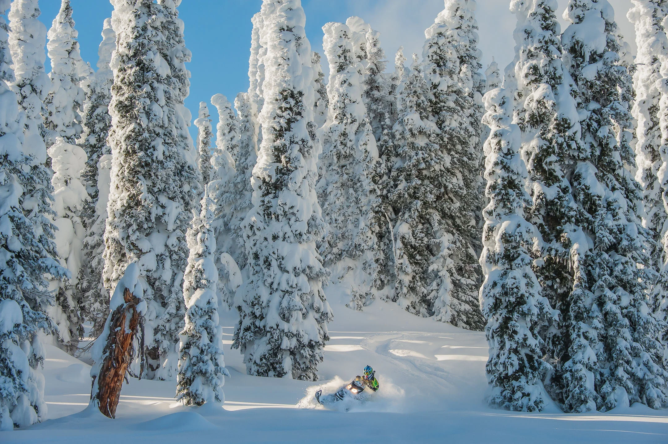 two top winter-139.jpg