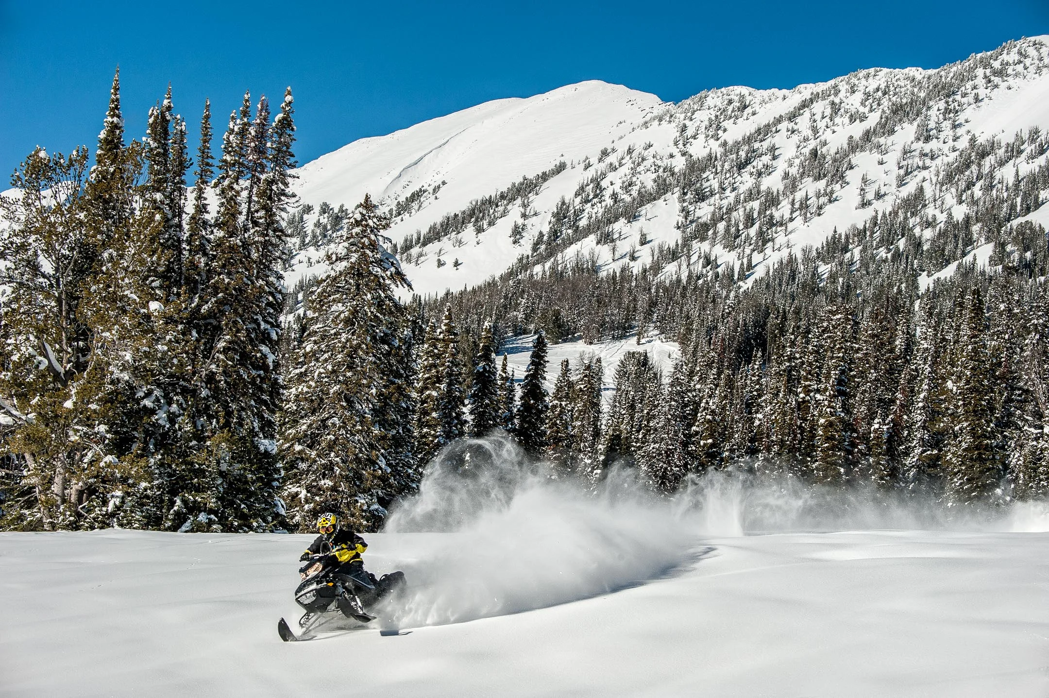 Skyline Ridge-144.jpg