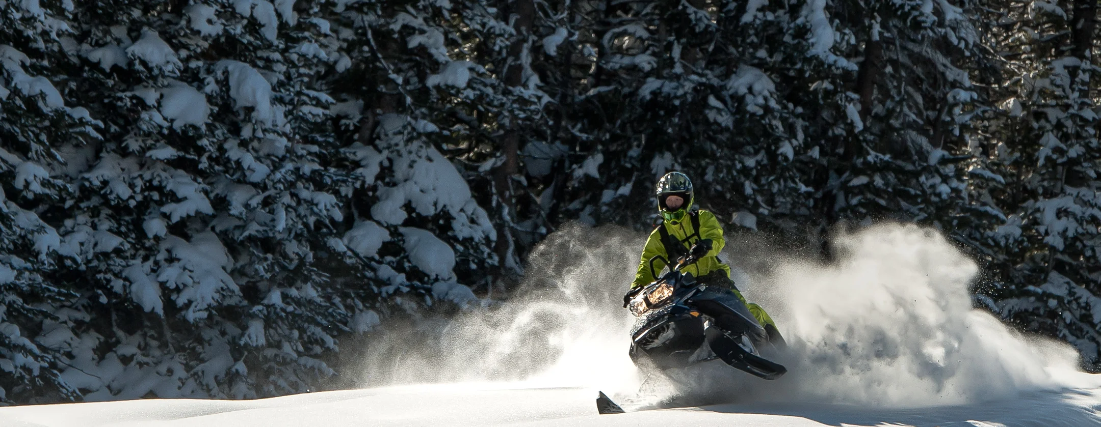 Cabin Creek area-145.jpg