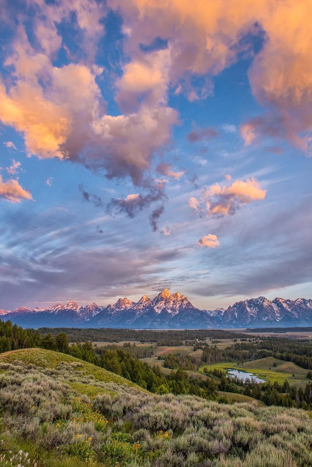 FINAL CANVAS 32X48HP-1-Edit-1.jpg