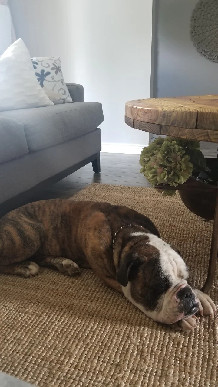 Even Oso enjoys the comfort of the LOHALS rug. I think he enjoys it more then me;)