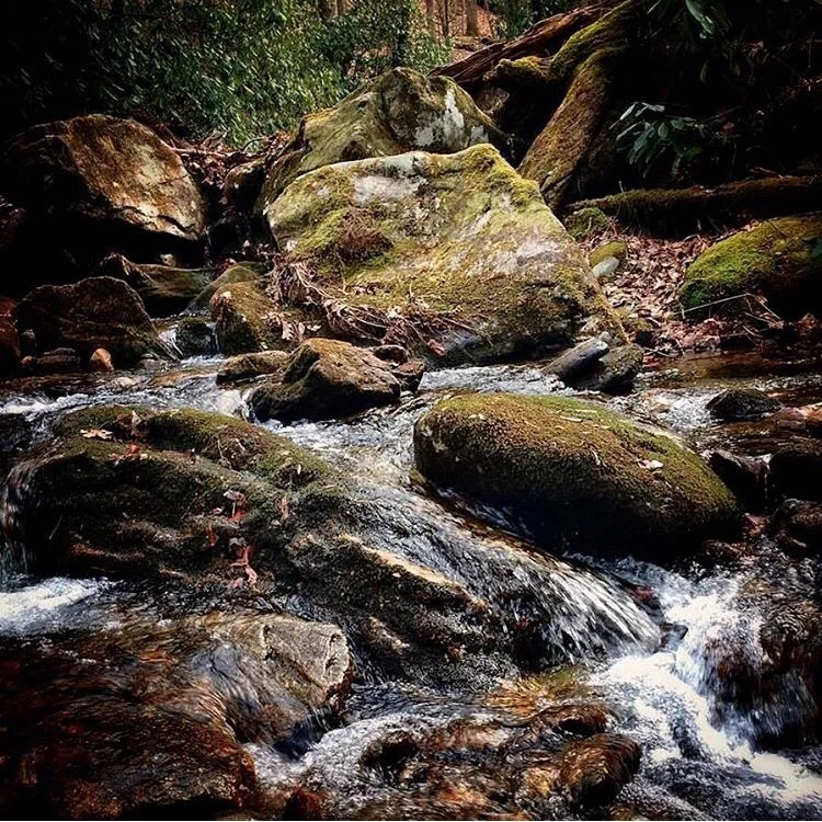 Groundwork in Stone Medicine