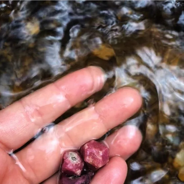 Pink Garnet in Water.jpg