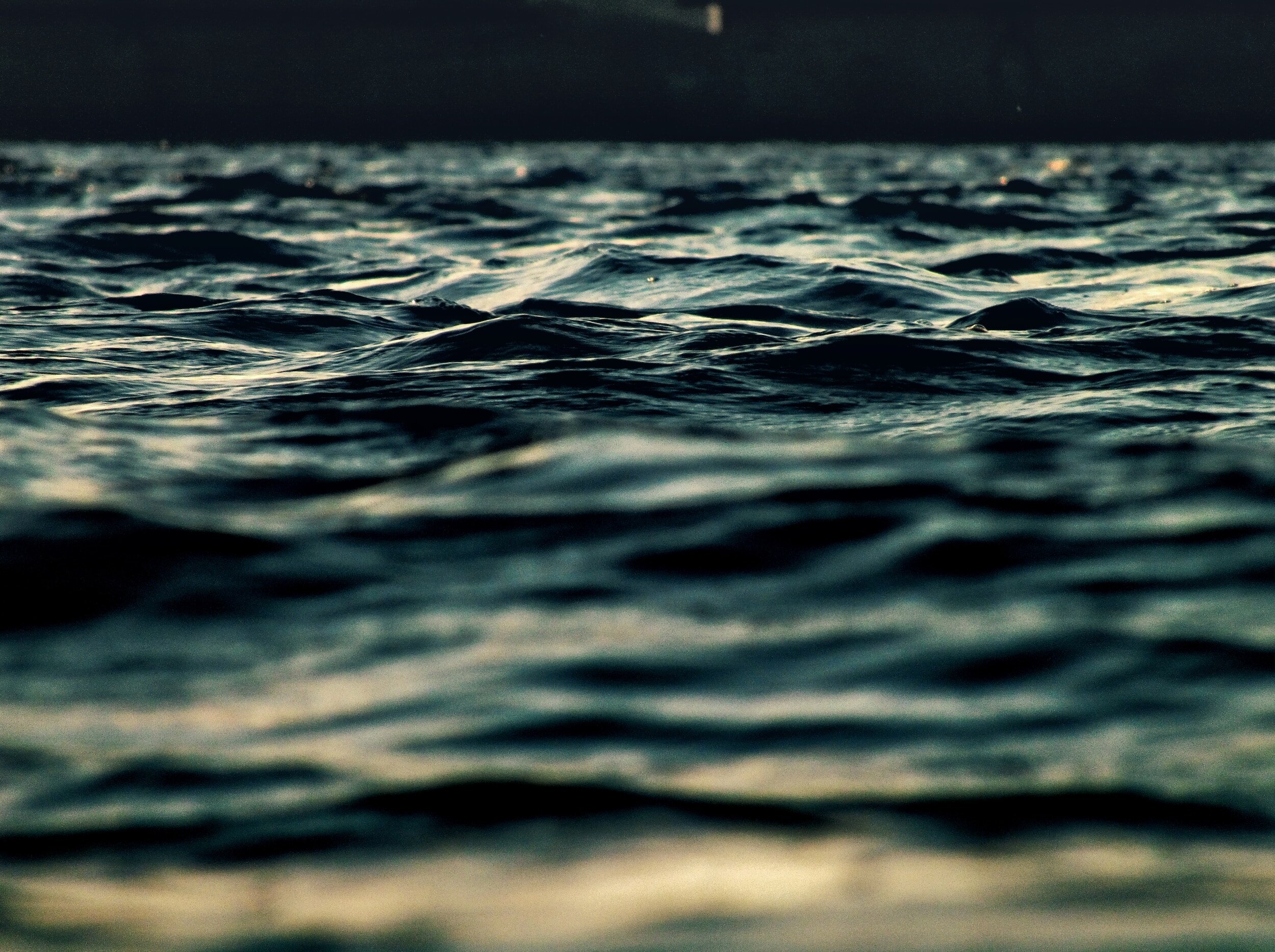 A Gathering with Water