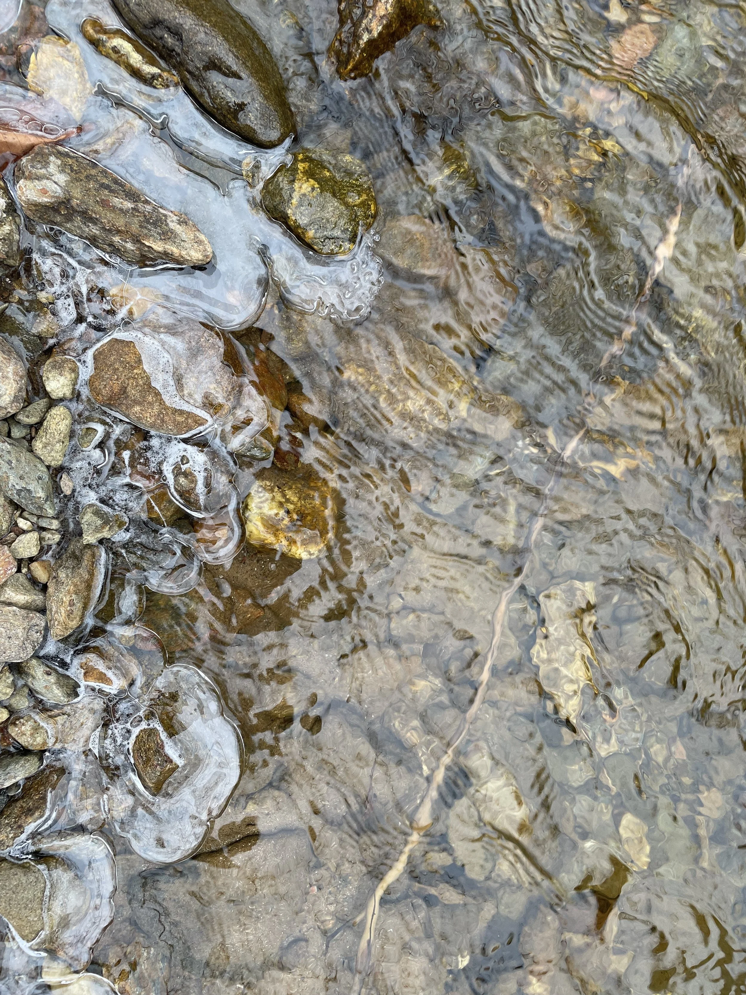 Watering  /  Seeds of Change