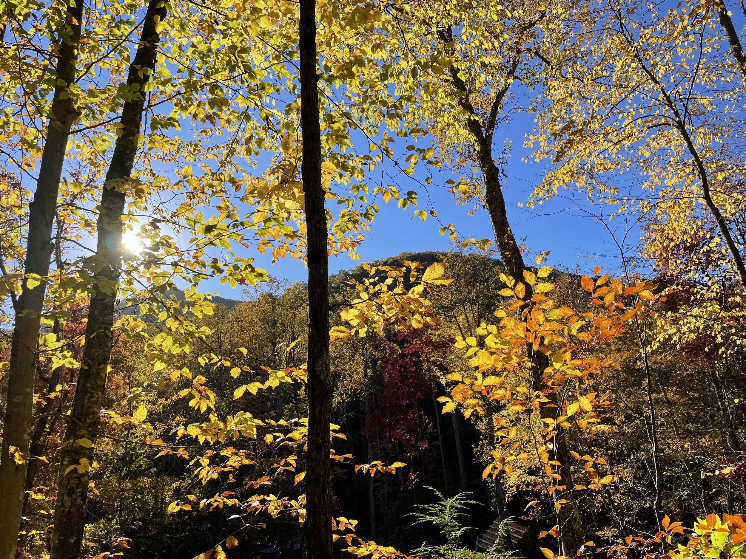 Early Bird Registration for Compass