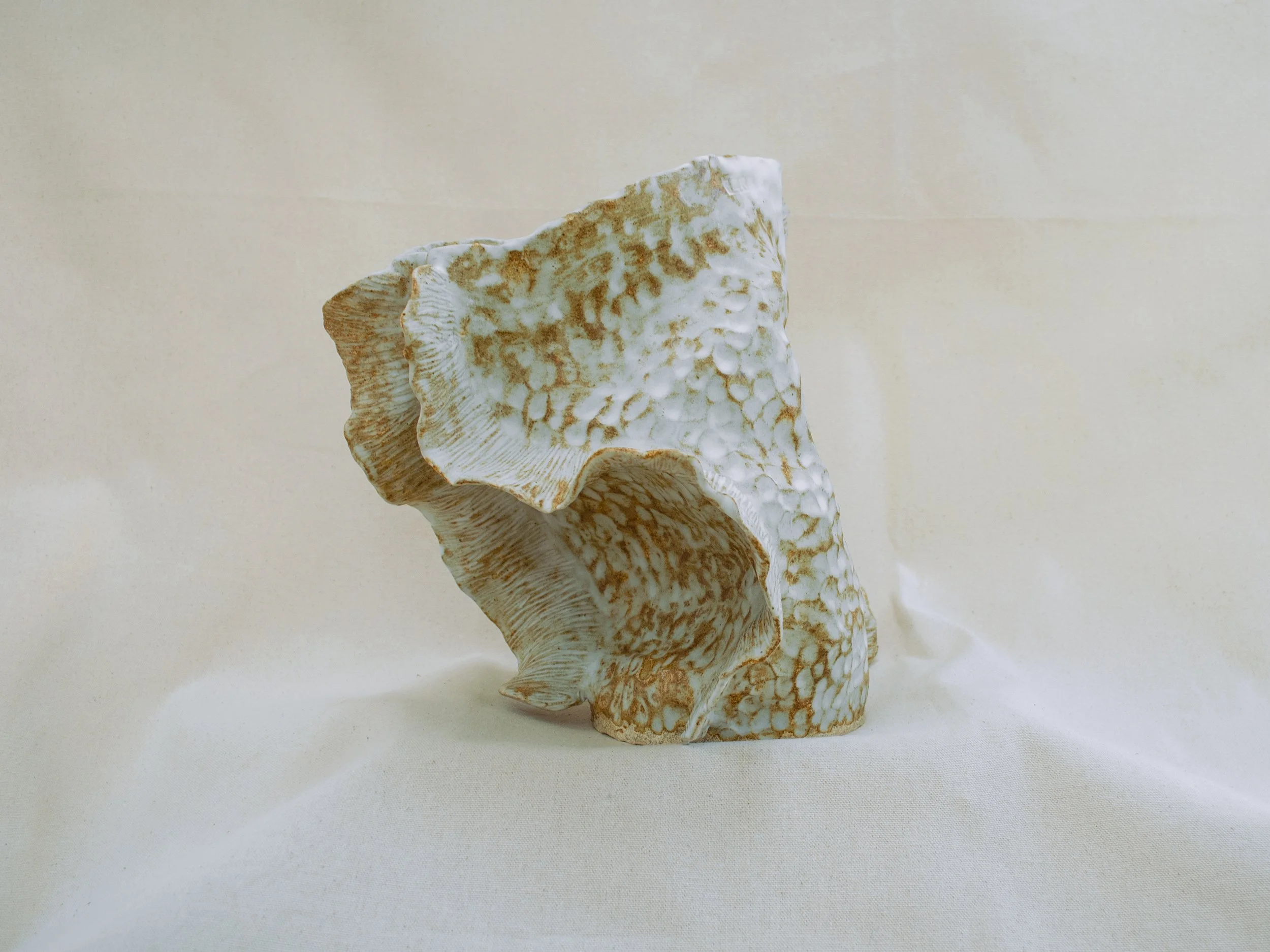 fossil03d.jpg