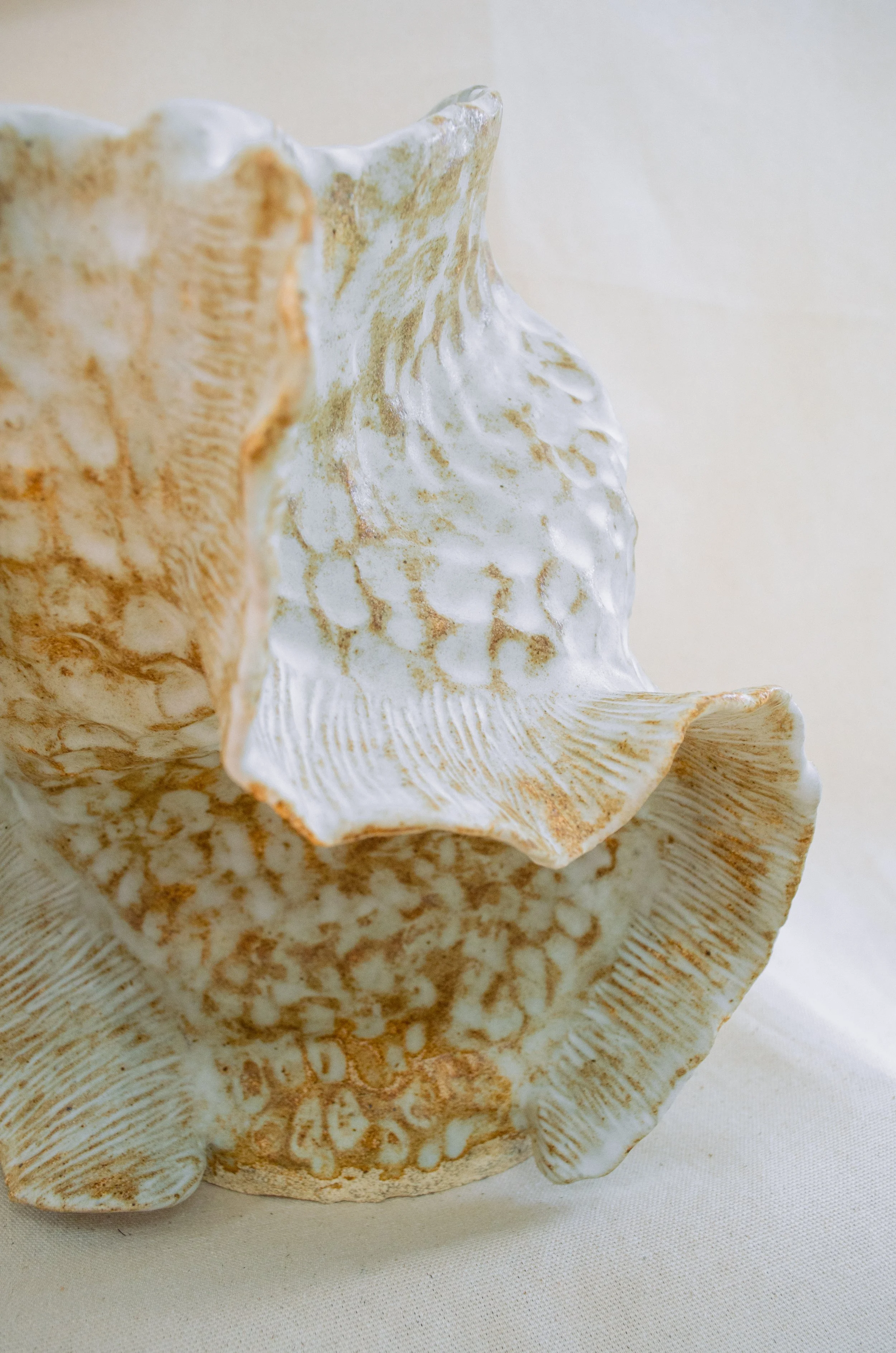 fossil03g.jpg