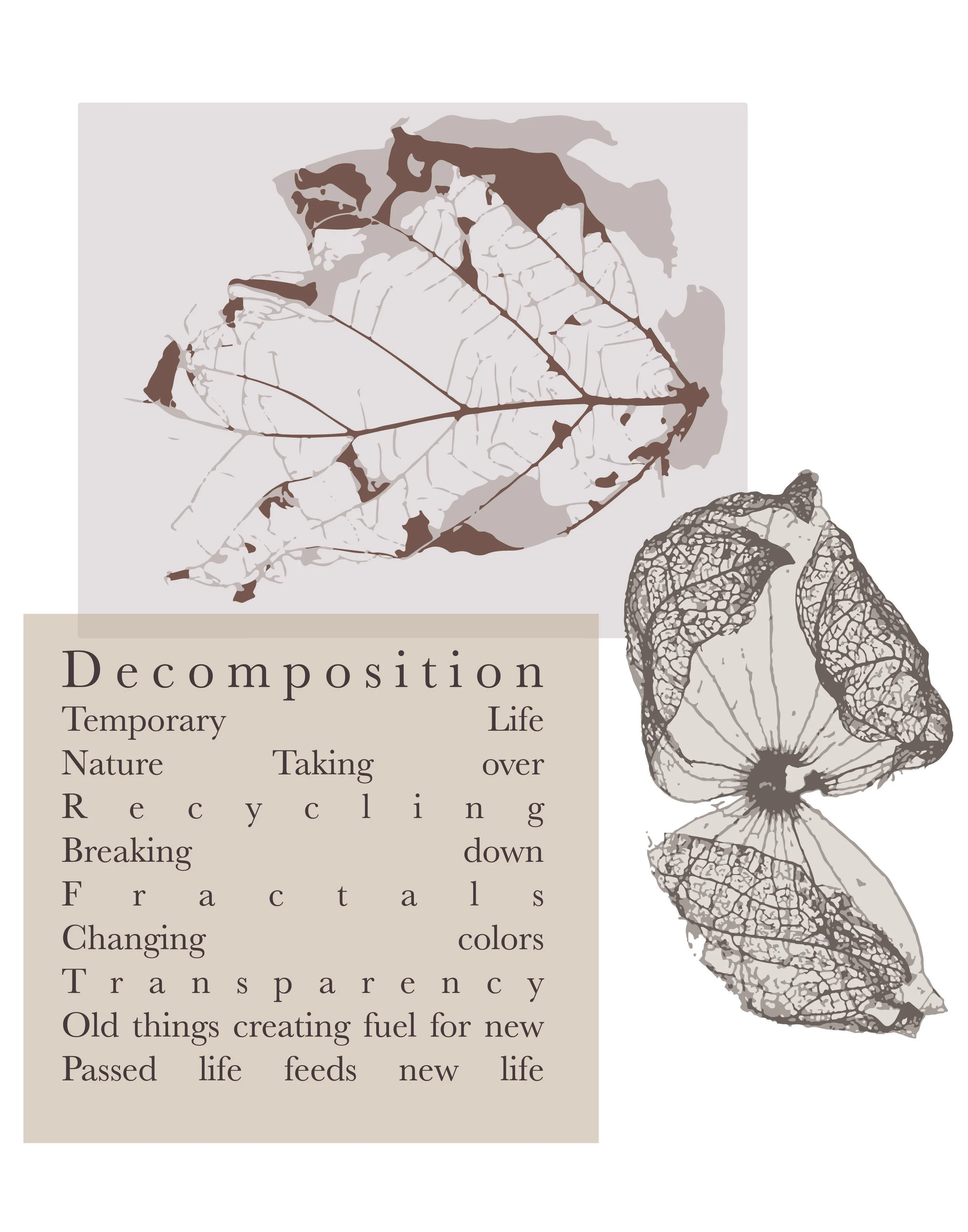 Portfolio_project_1-02.jpg