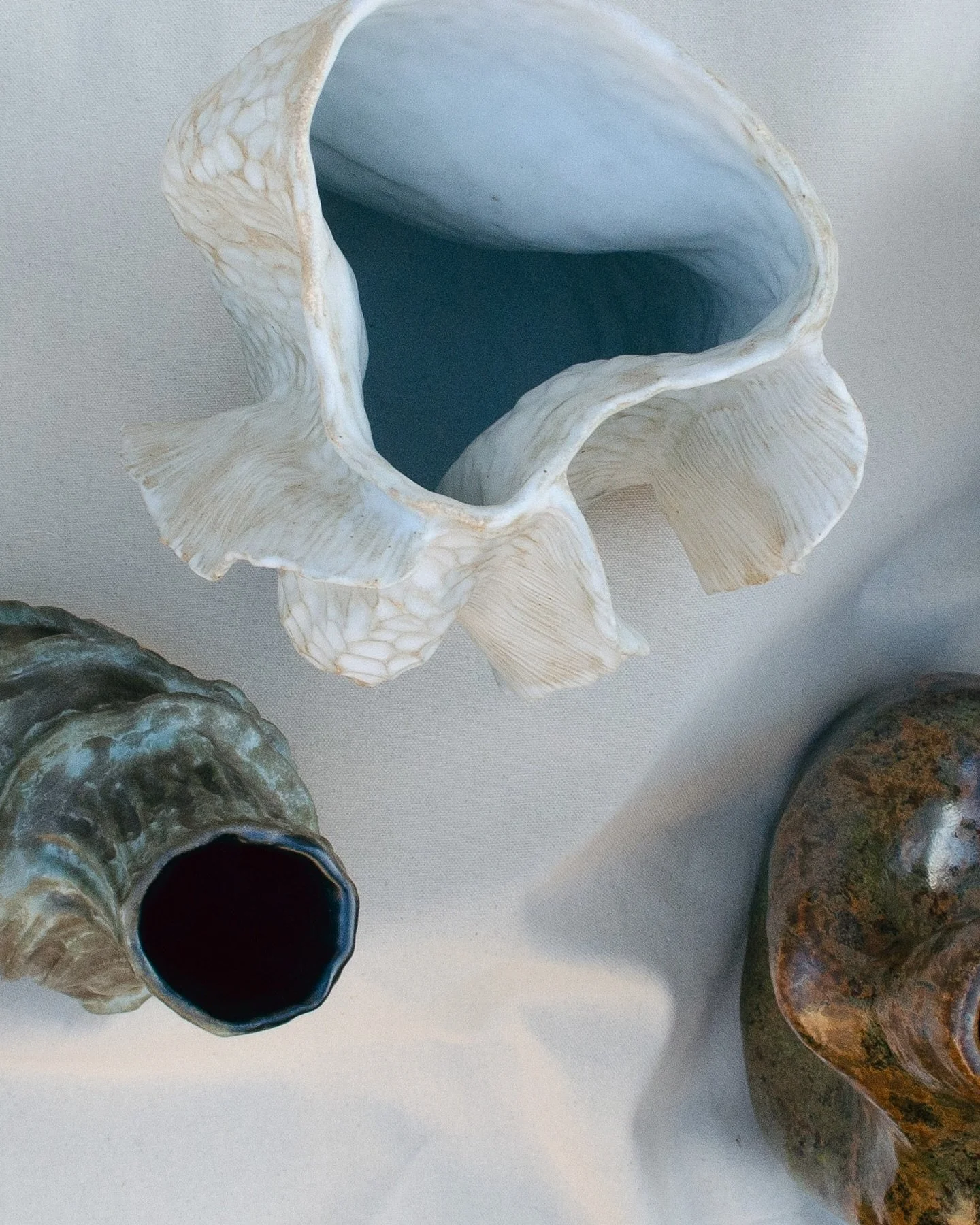 Ferry
Thoughtful goods for your home