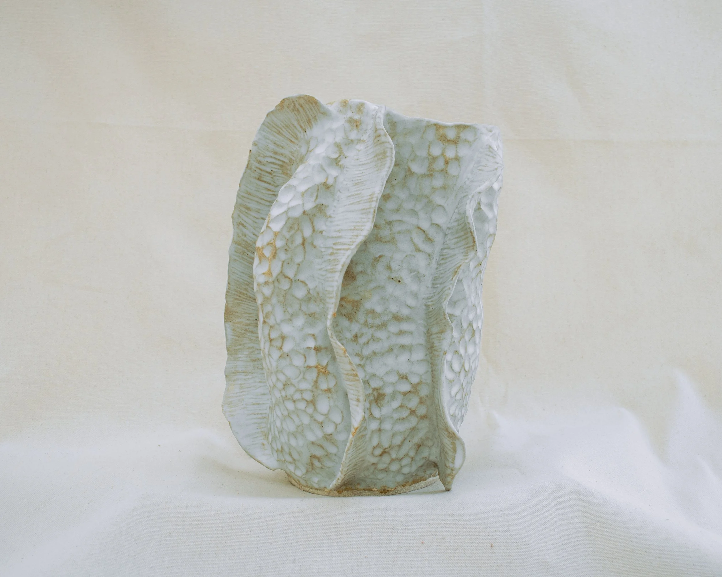 fossil01E.jpg