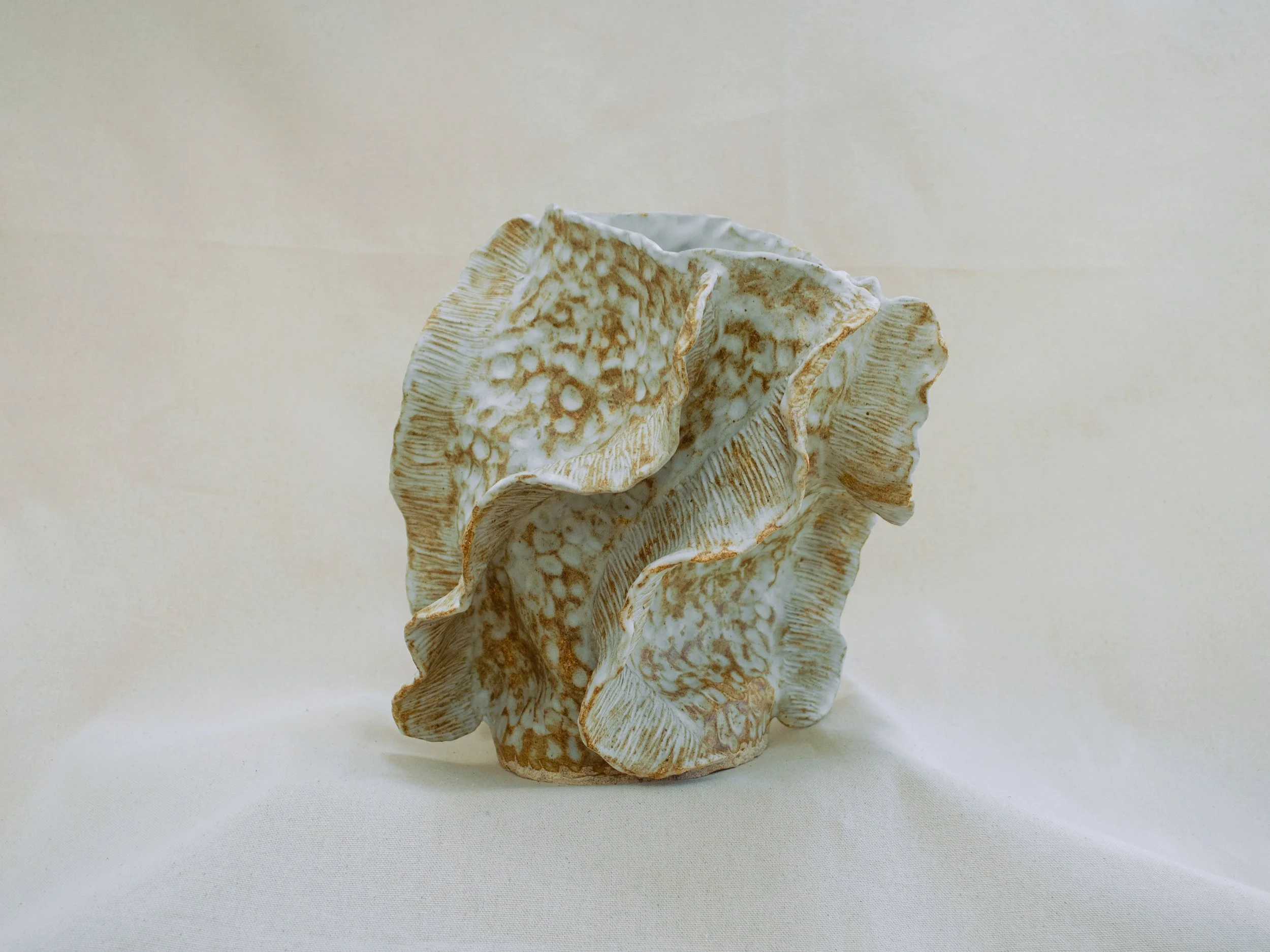 fossil03b.jpg