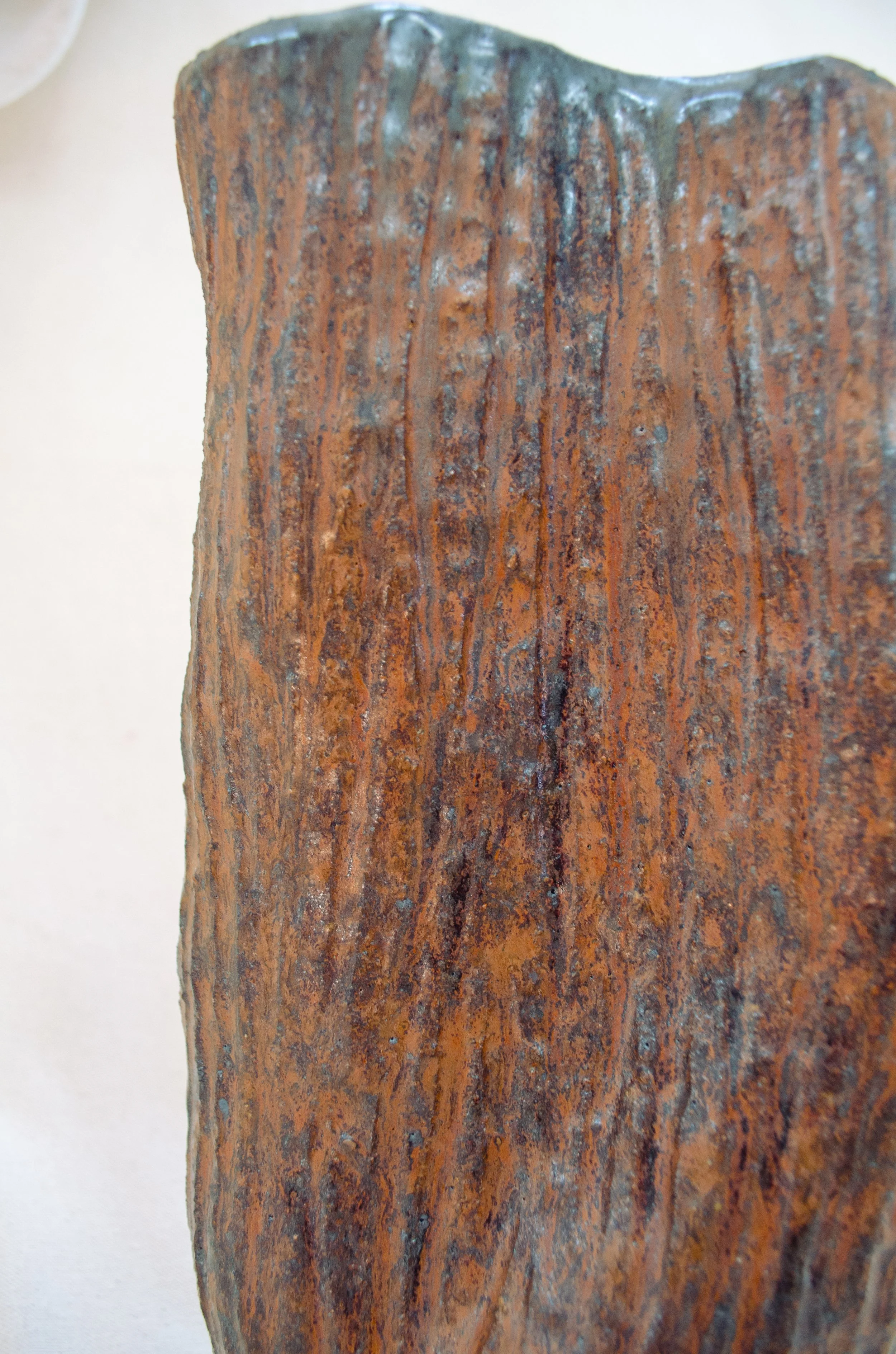 fossil04e.jpg