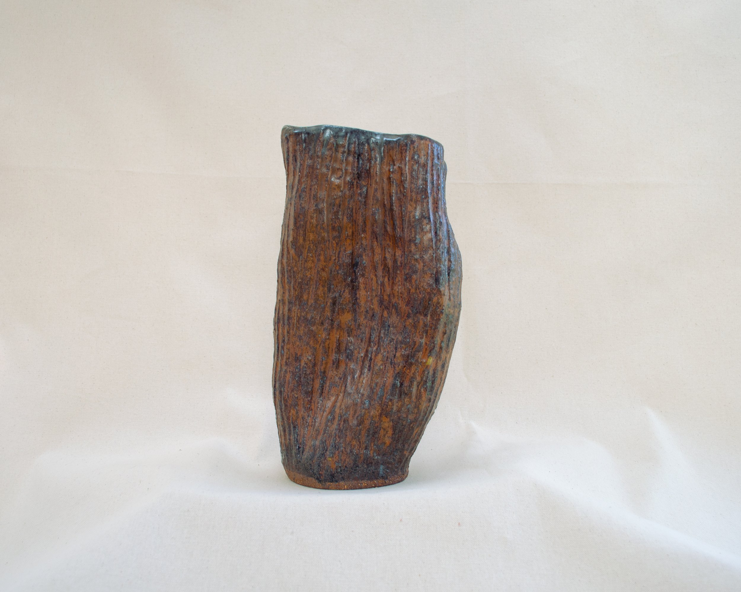 fossil04a.jpg