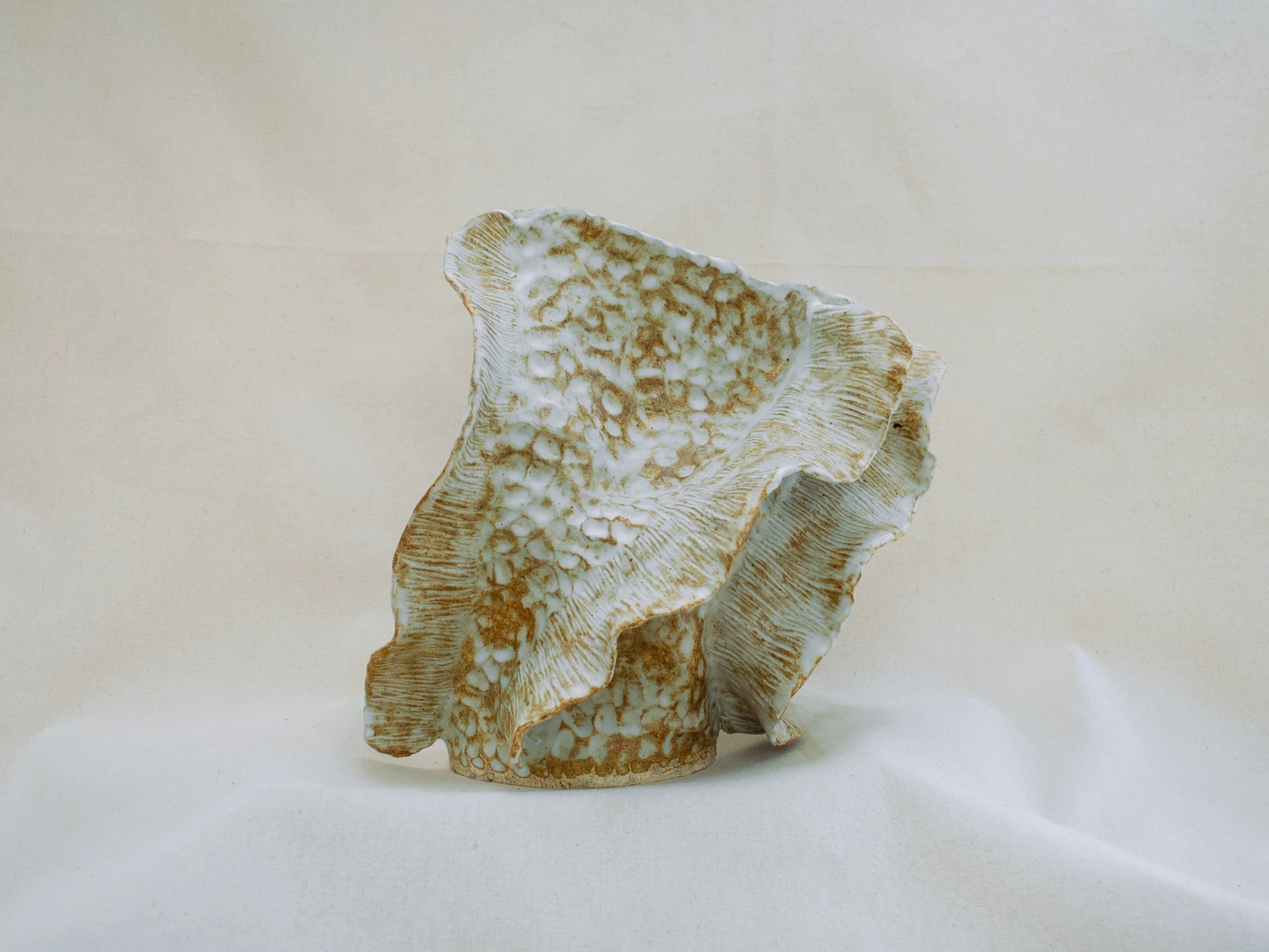 fossil03f.jpg