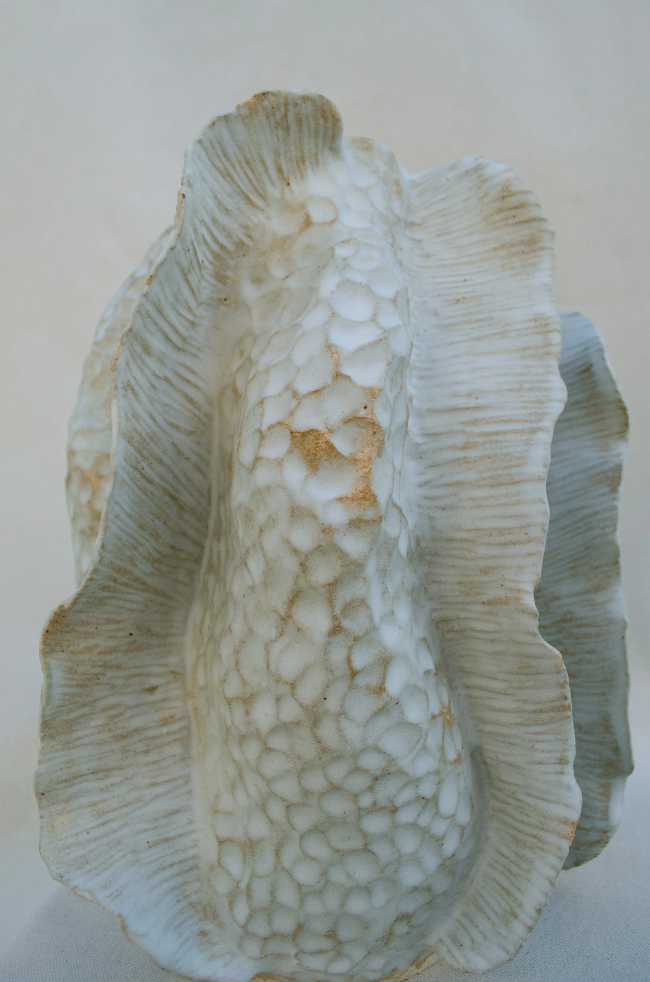 FOSSIL-VESSEL-001-E.jpg