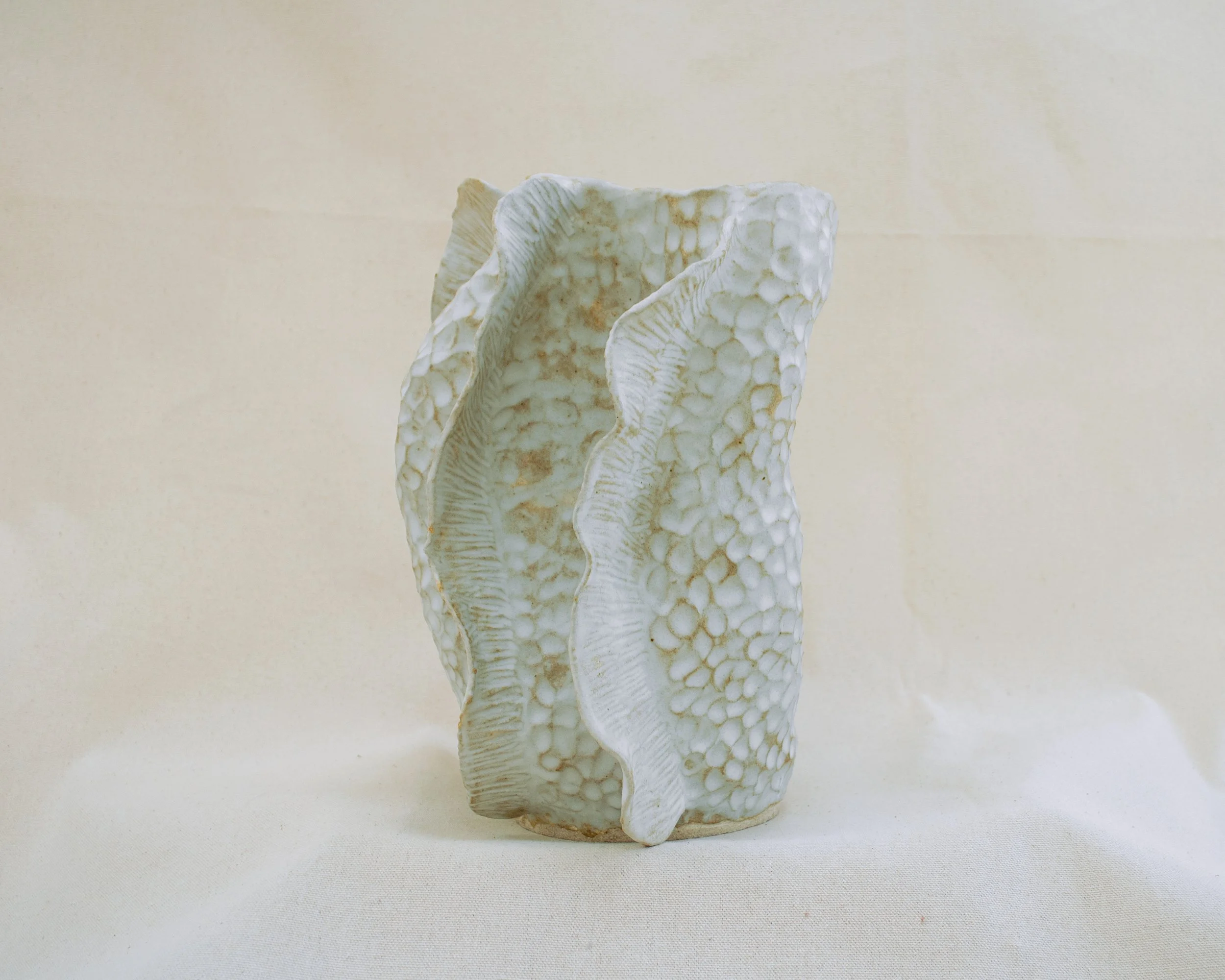 fossil01A.jpg