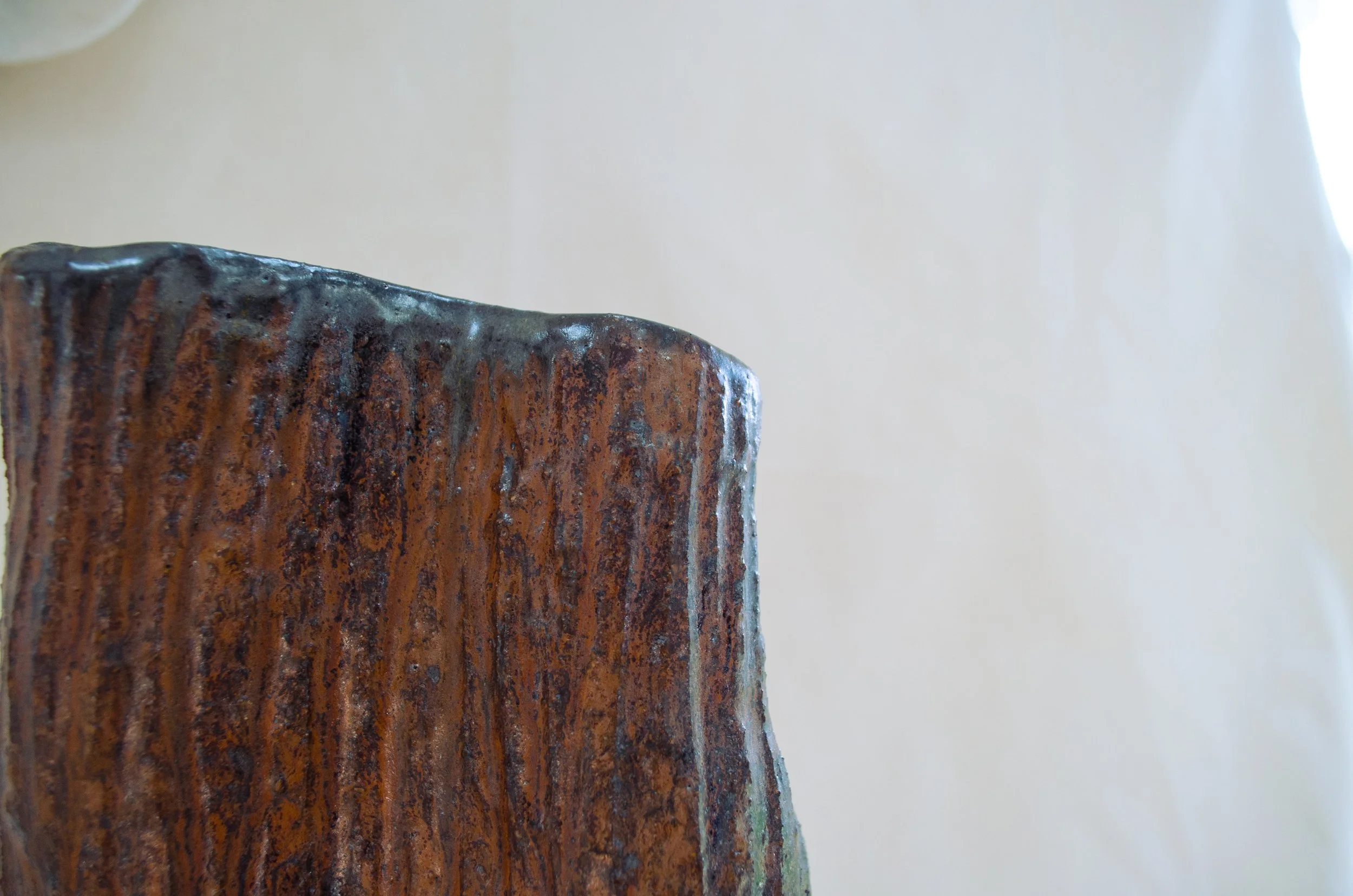 fossil04f.jpg