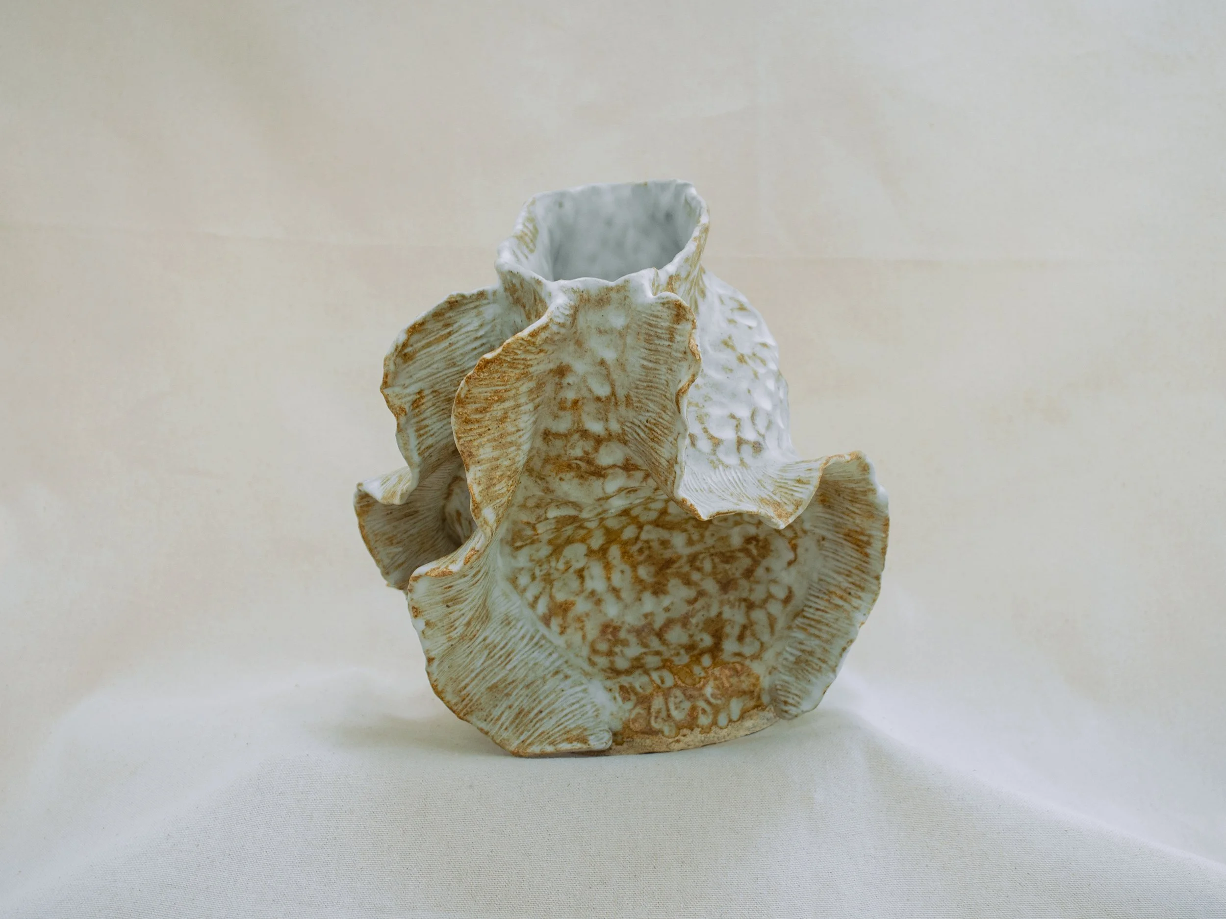 fossil03c.jpg