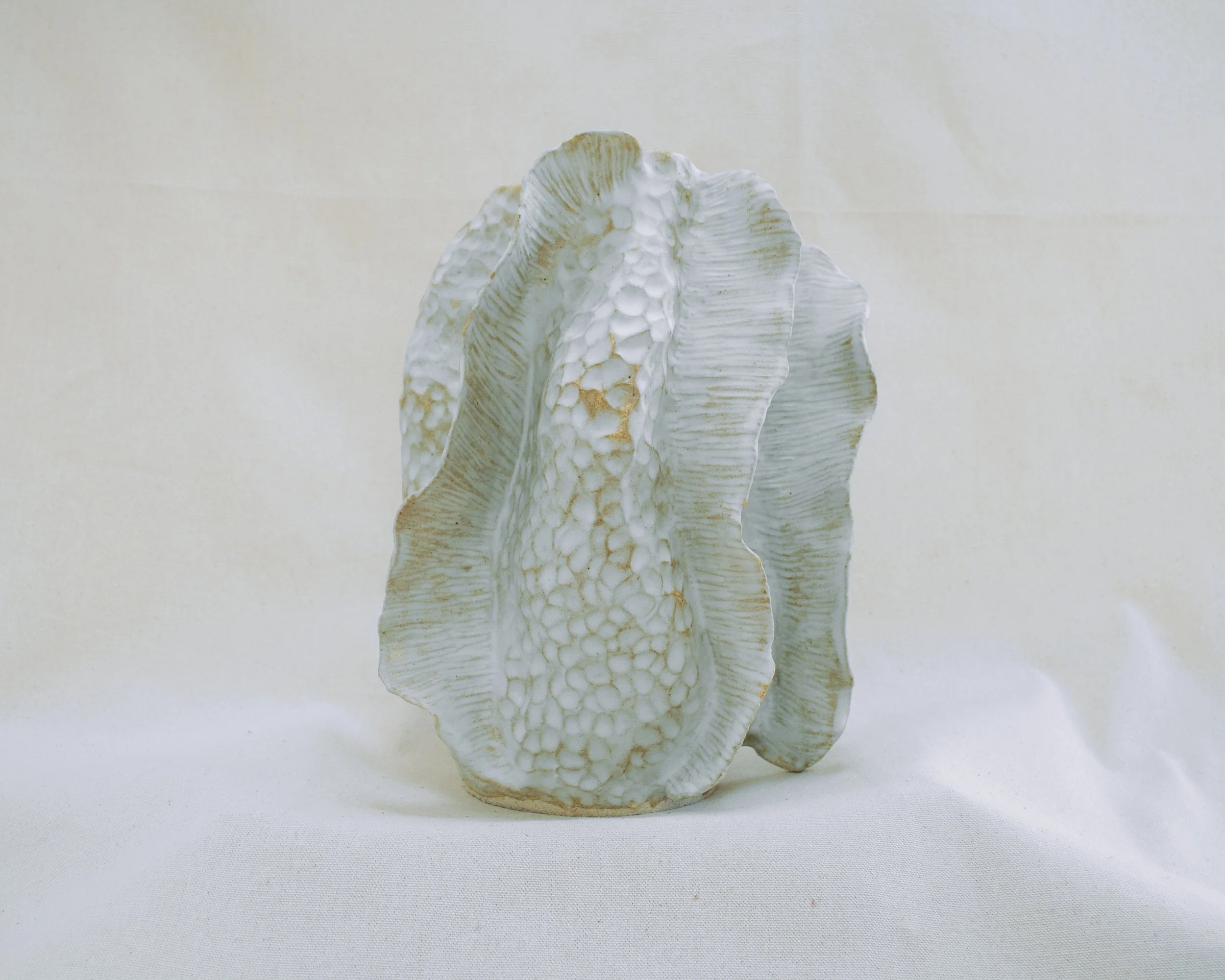 fossil01D.jpg
