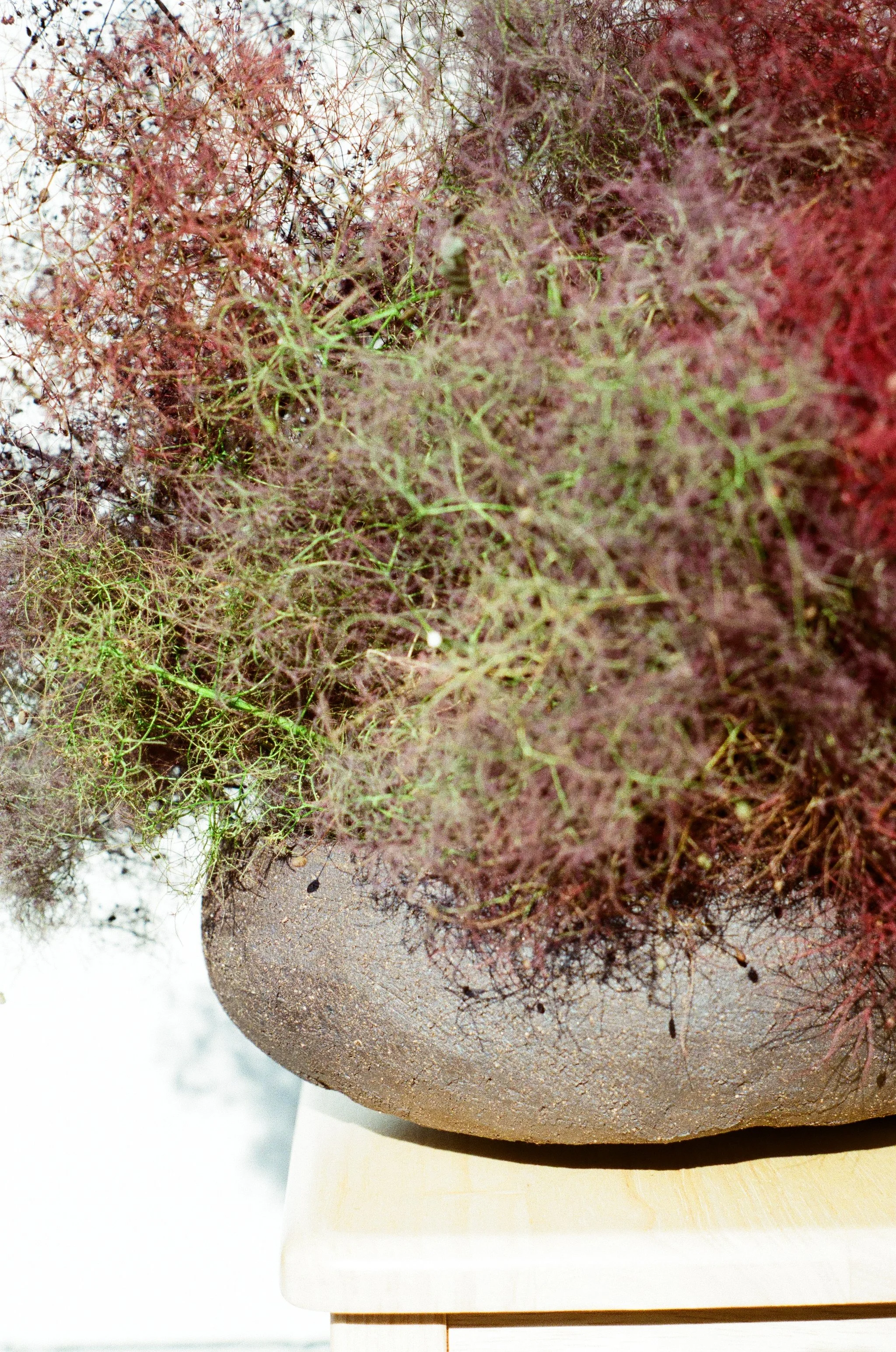 A close up image of a dark brown ceramic bowl with a rough surface texture with a purple and green floral arrangement inside.