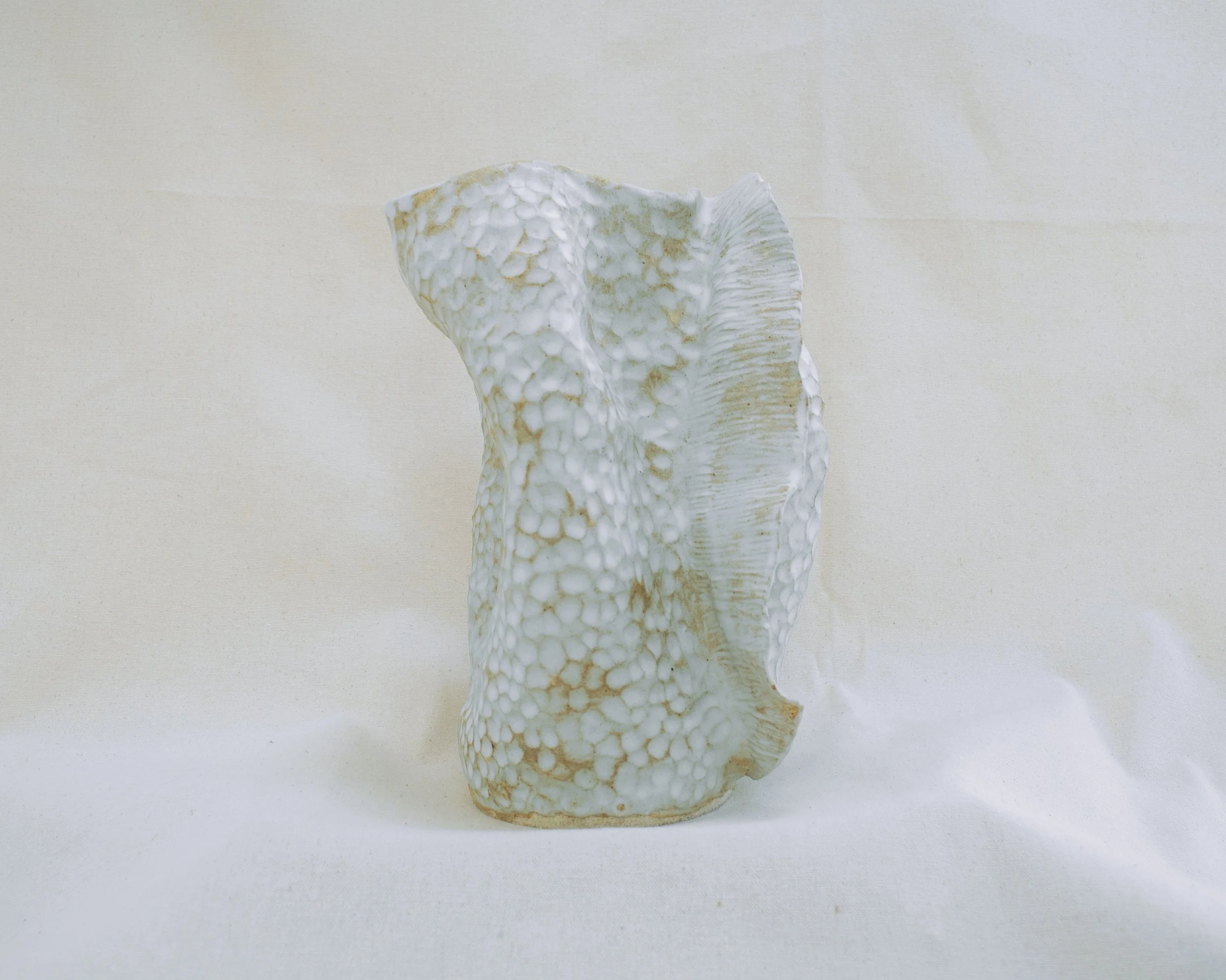 fossil01C.jpg