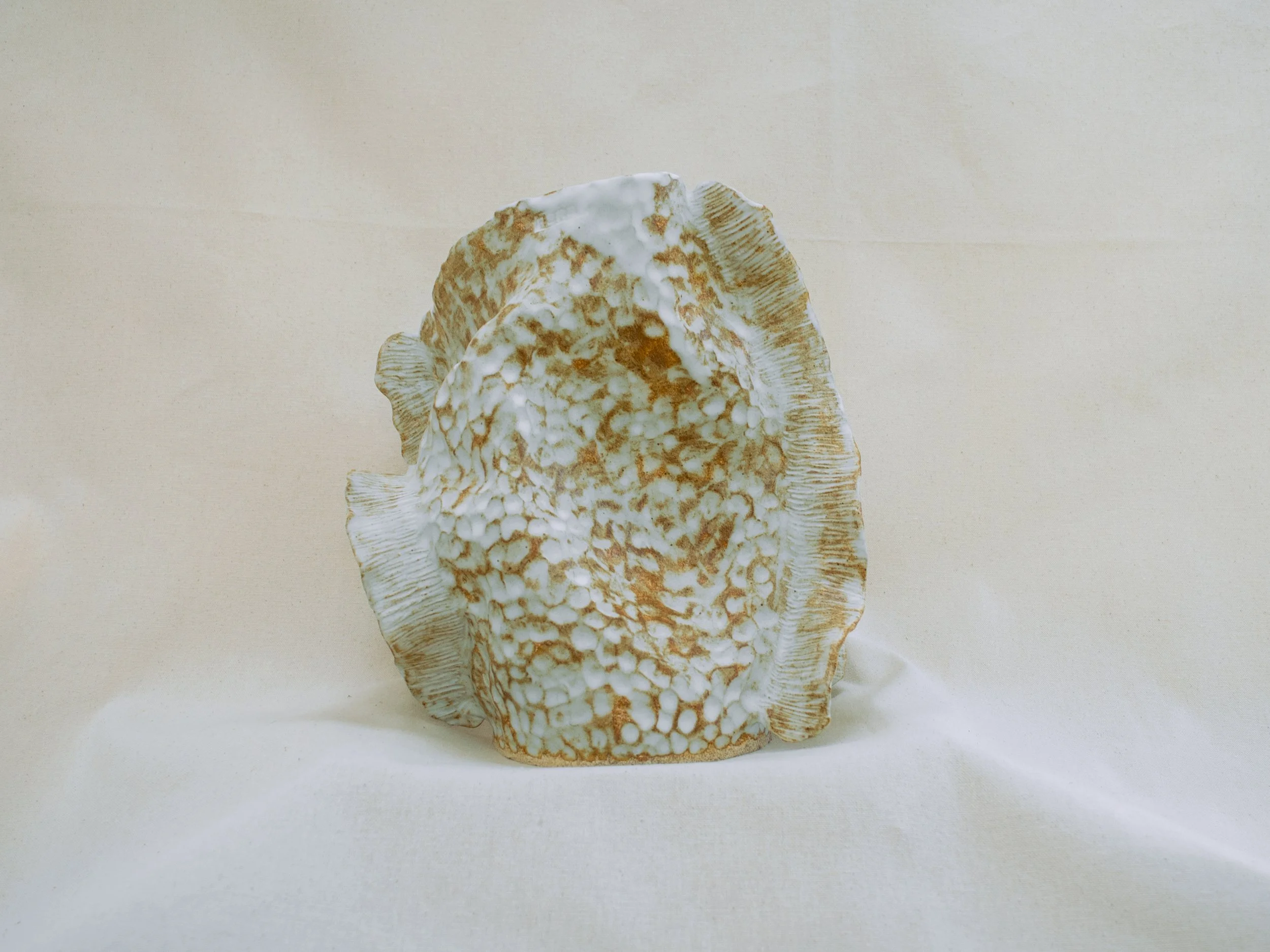 fossil03e.jpg