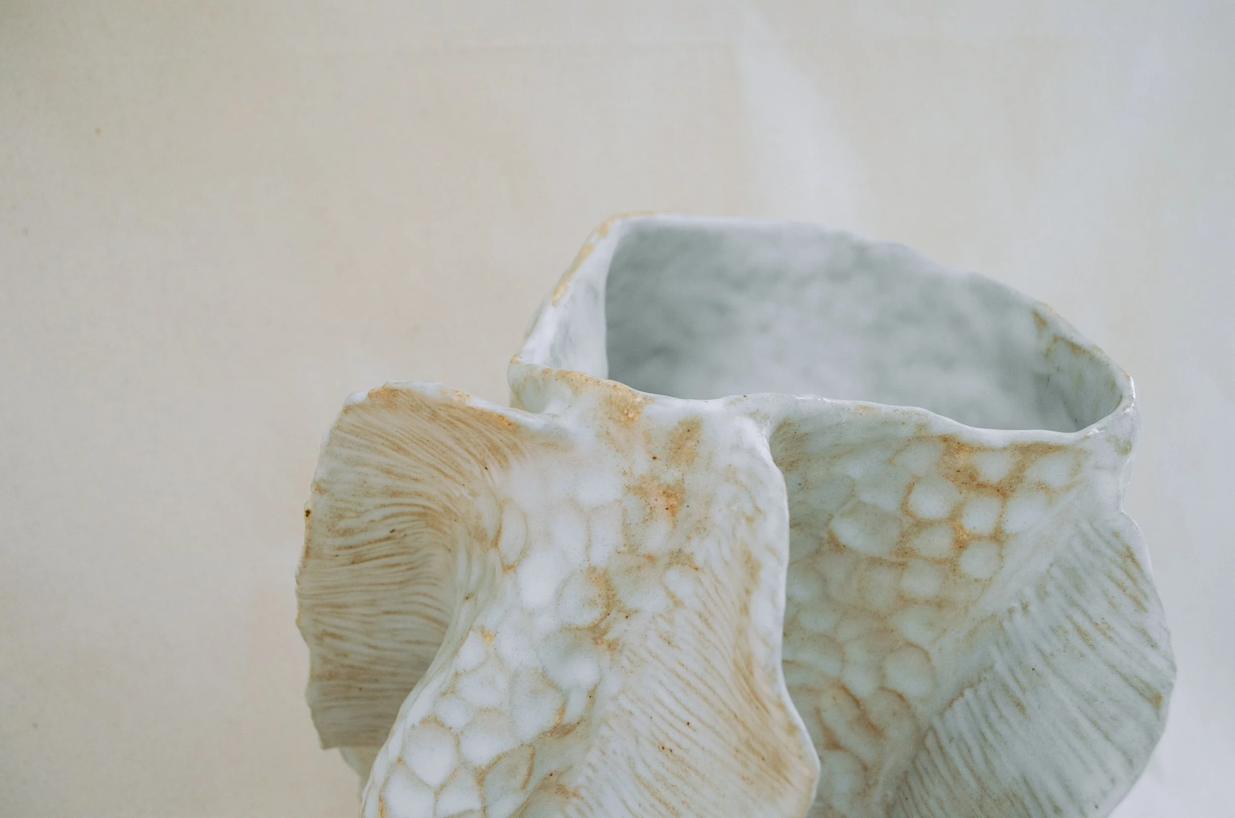 fossil01I.jpg