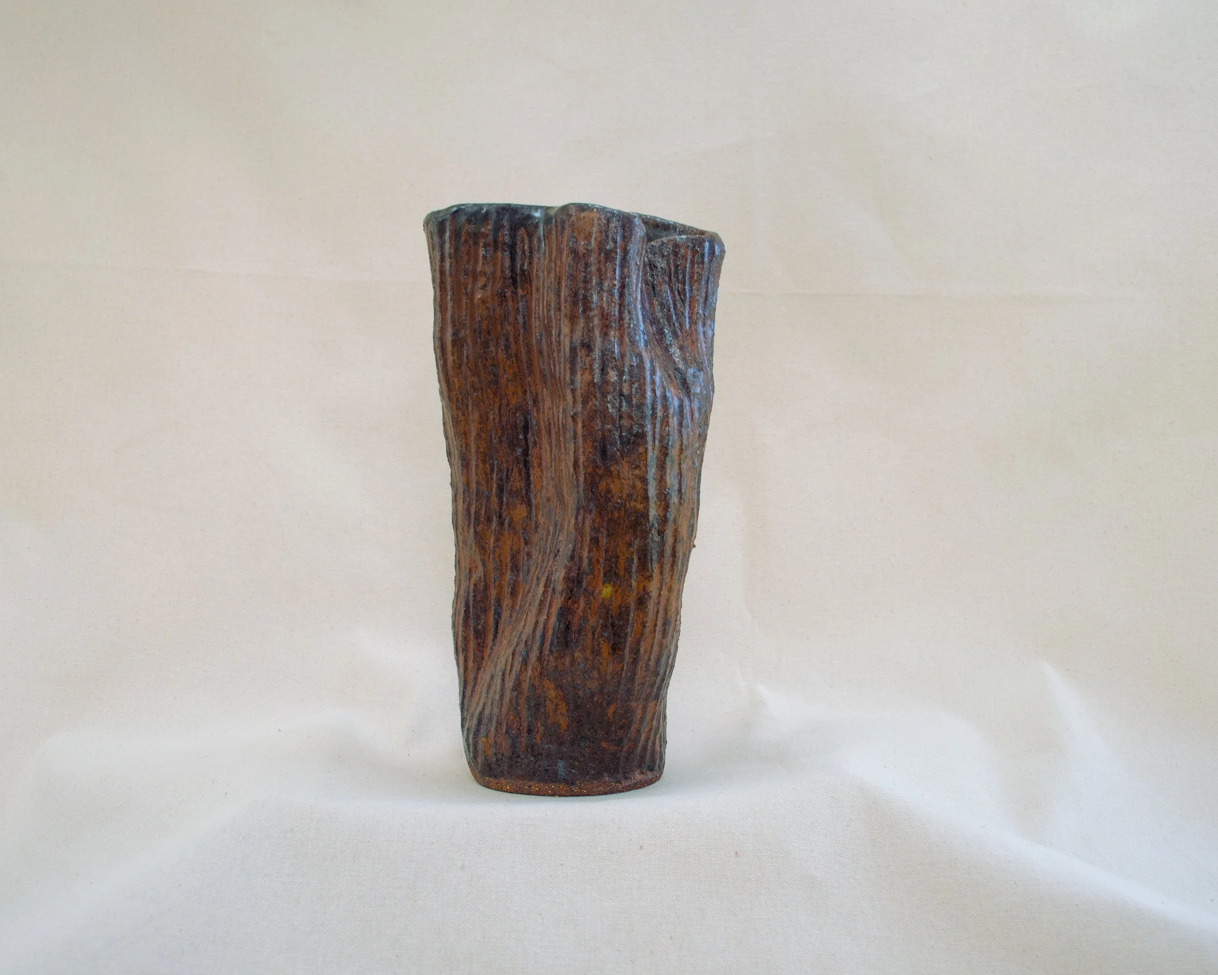 fossil04b.jpg