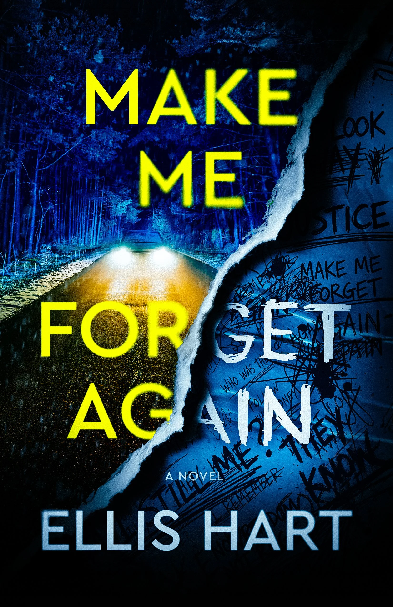 MakeMeForgetAgain_Final_Cover.jpg