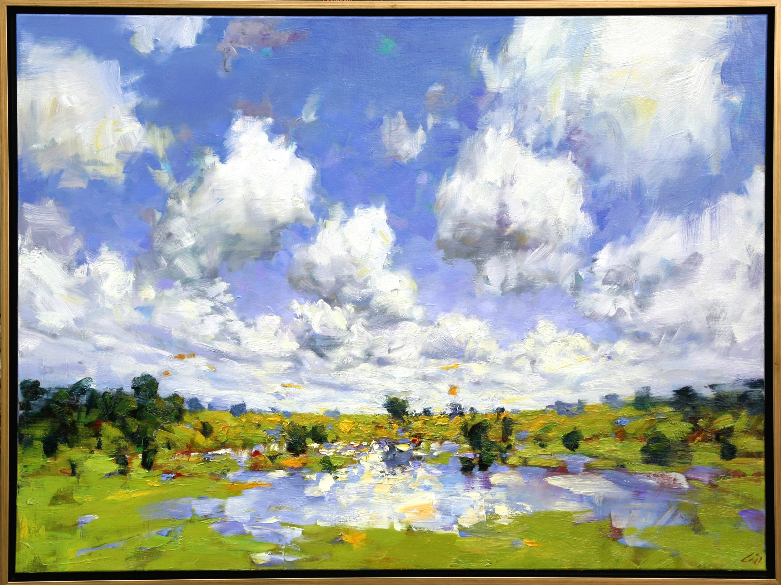 Clouds overe the Pond