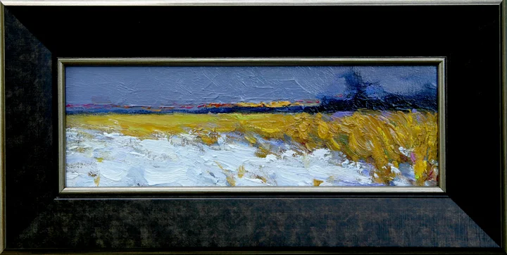 Study of Winter Marsh