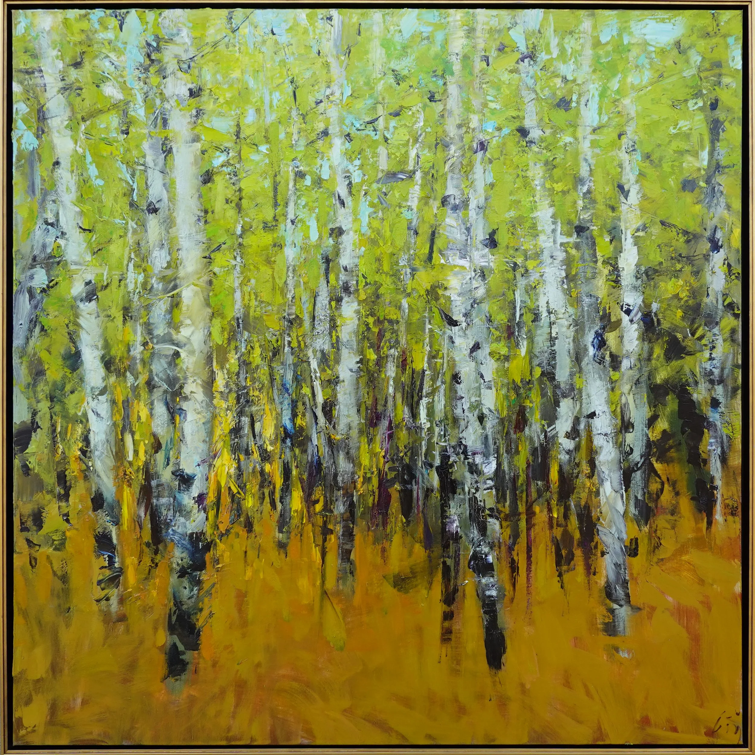 Autumn Birches