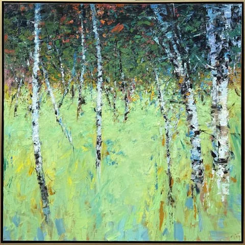 Birches with Sunset