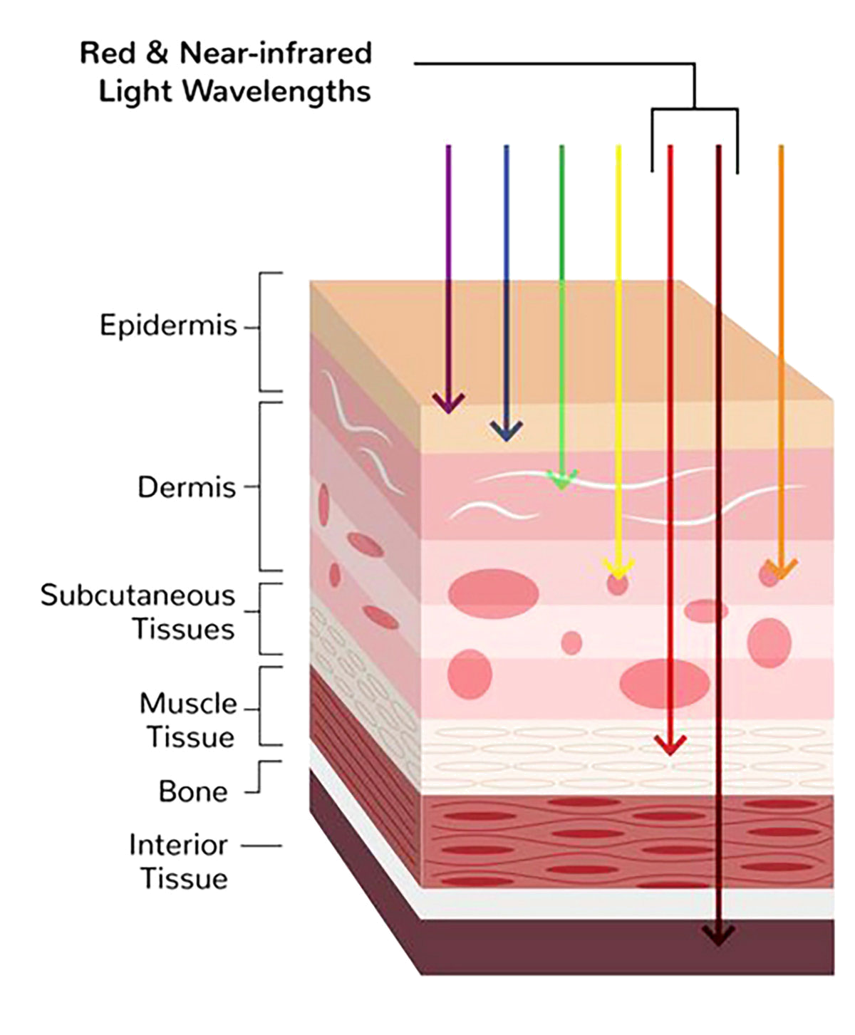 Photobiomodulation