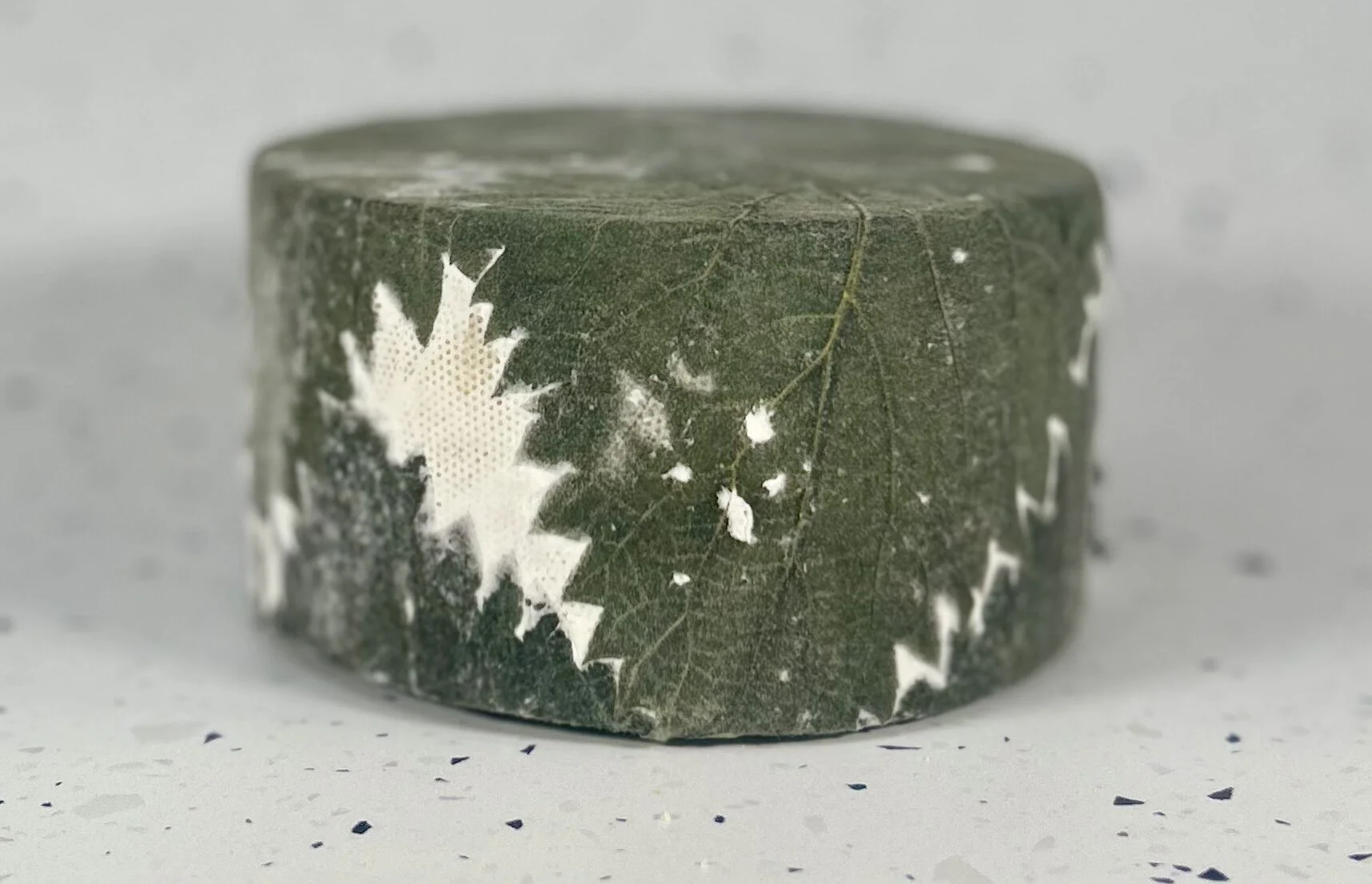 AACFBCA6-9392-447A-9D9B-EEF587A58378