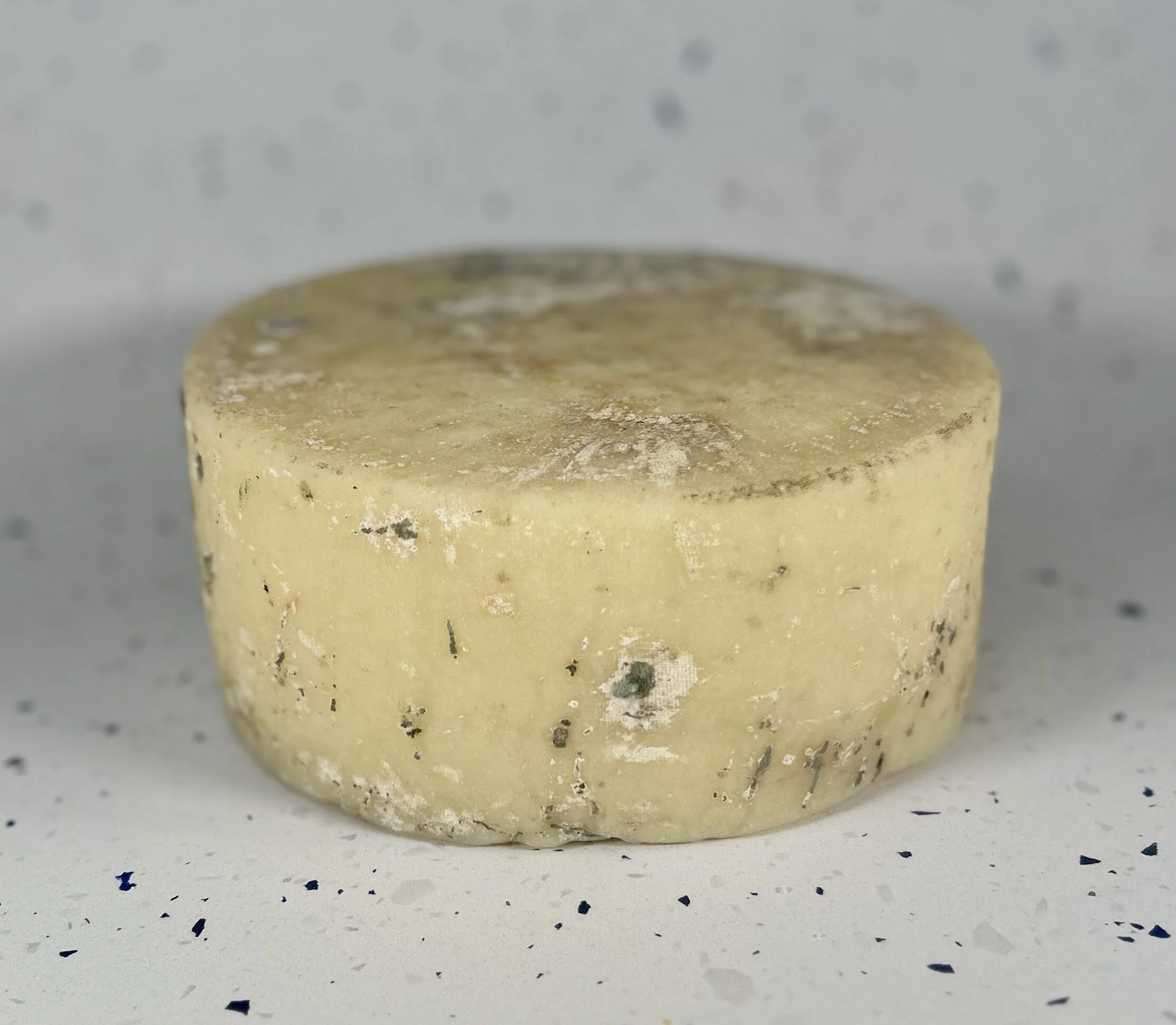 40247678-D263-4B93-8545-562422F7A3A3