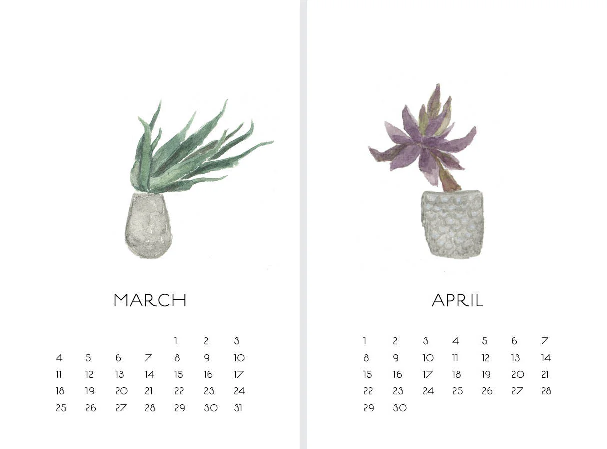 2018_Calendar_Succulents_March_April.jpg
