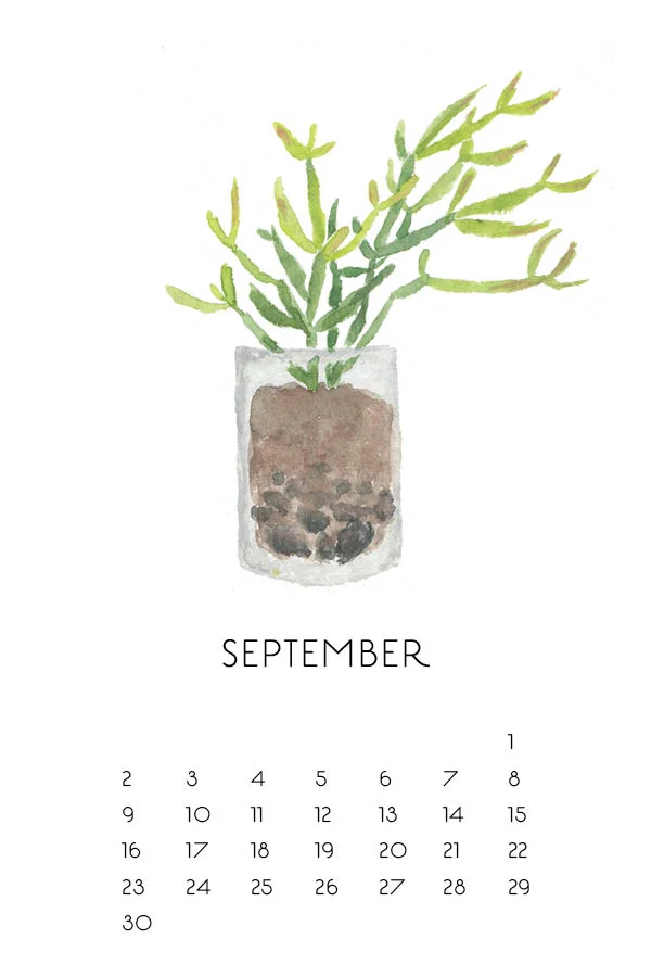 2018_Calendar_Succulents10.jpg