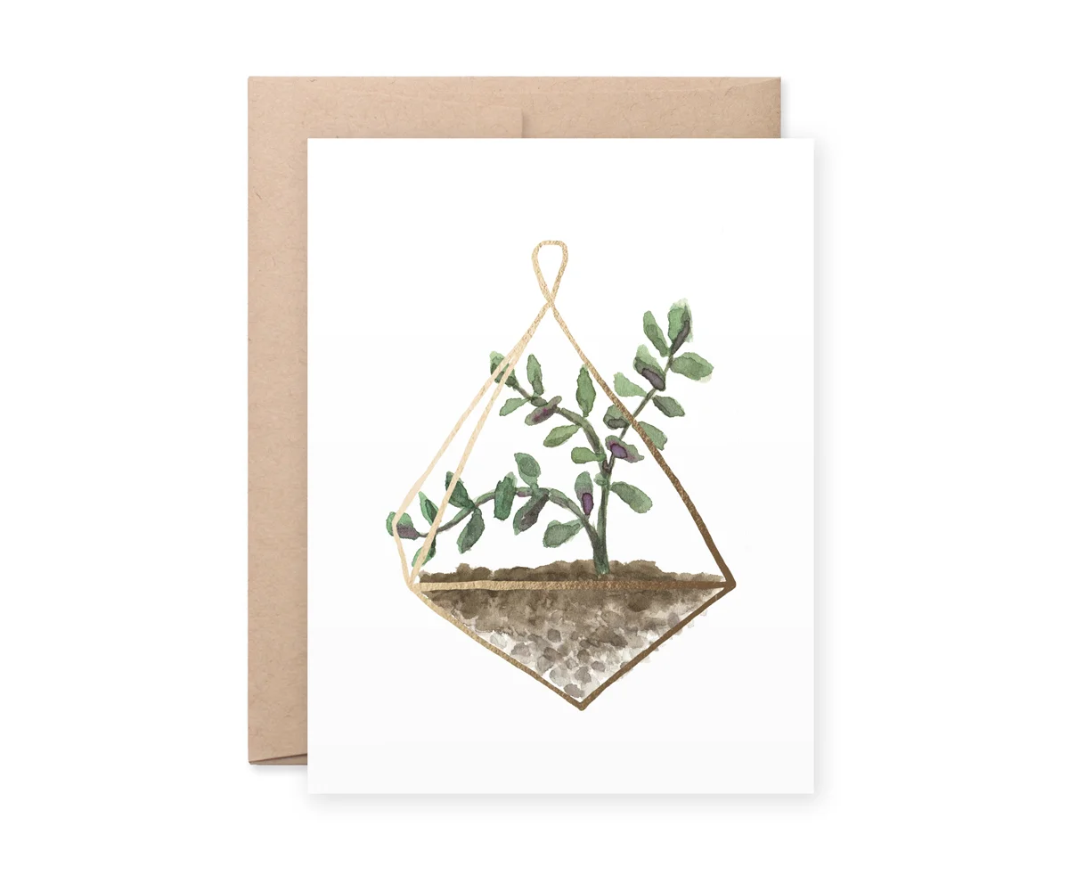 Golden Terrarium Lucca Card
